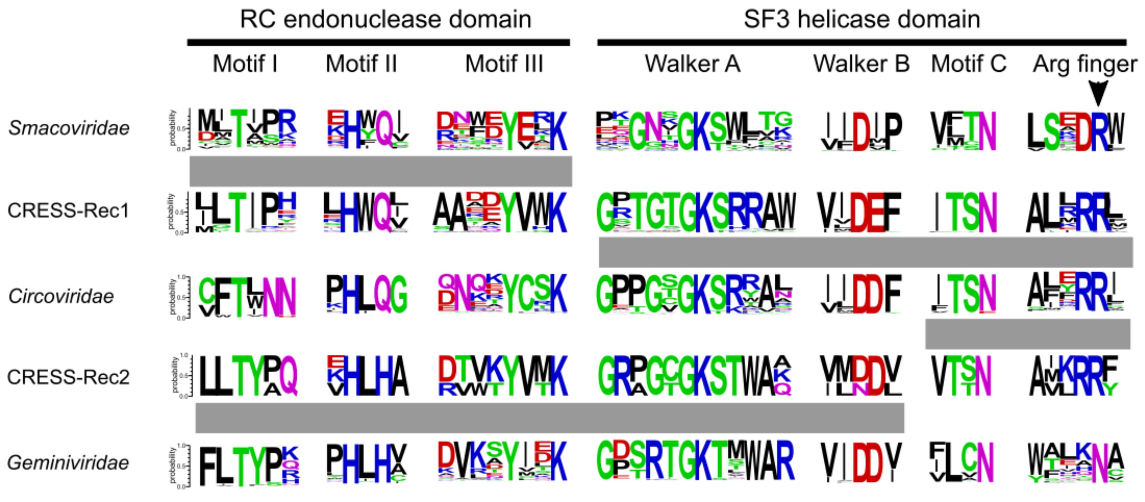 Viruses 10 00187 g002 Viruses 10 00187 g002