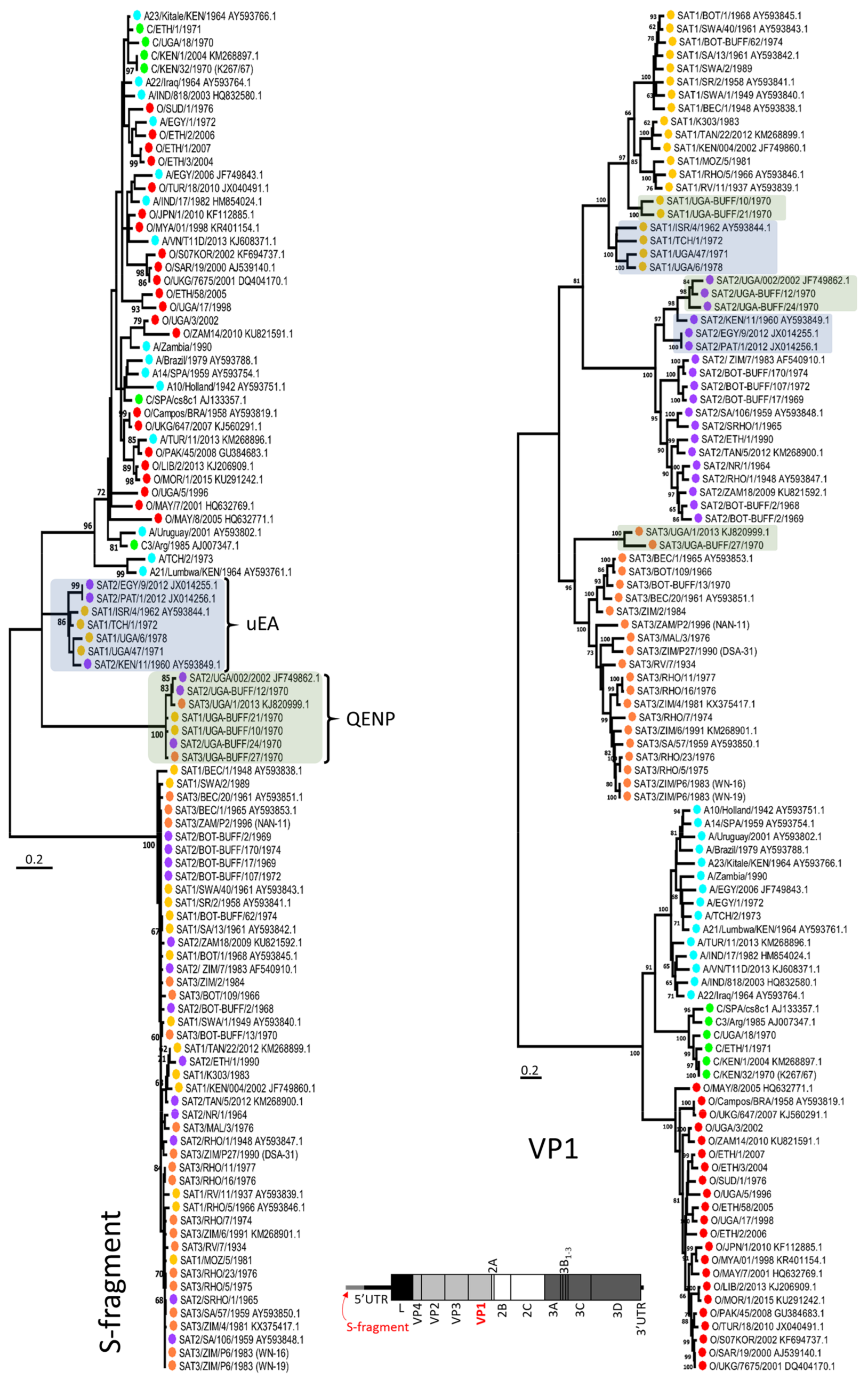 Viruses 10 00192 g001 Viruses 10 00192 g001
