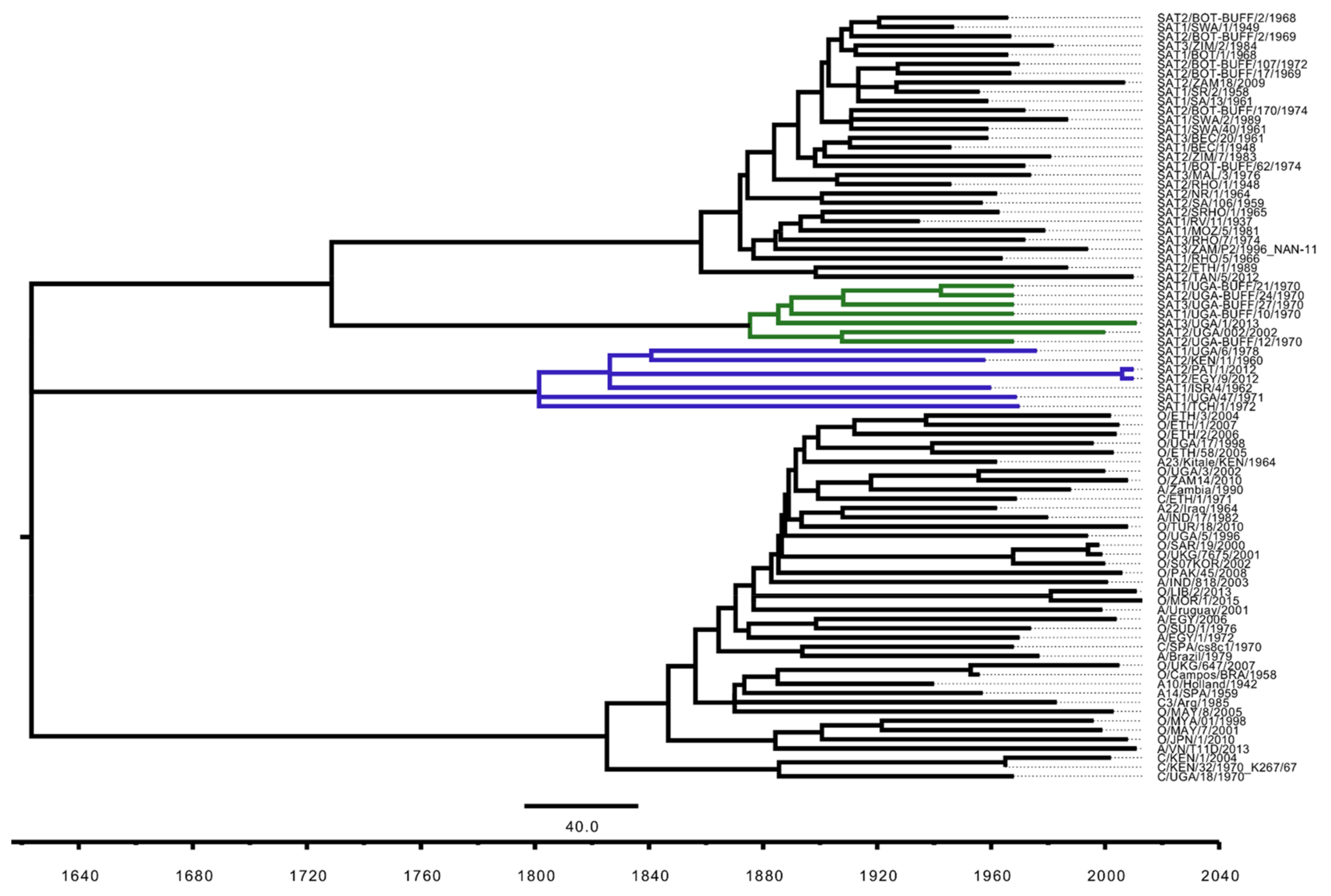 Viruses 10 00192 g005 Viruses 10 00192 g005