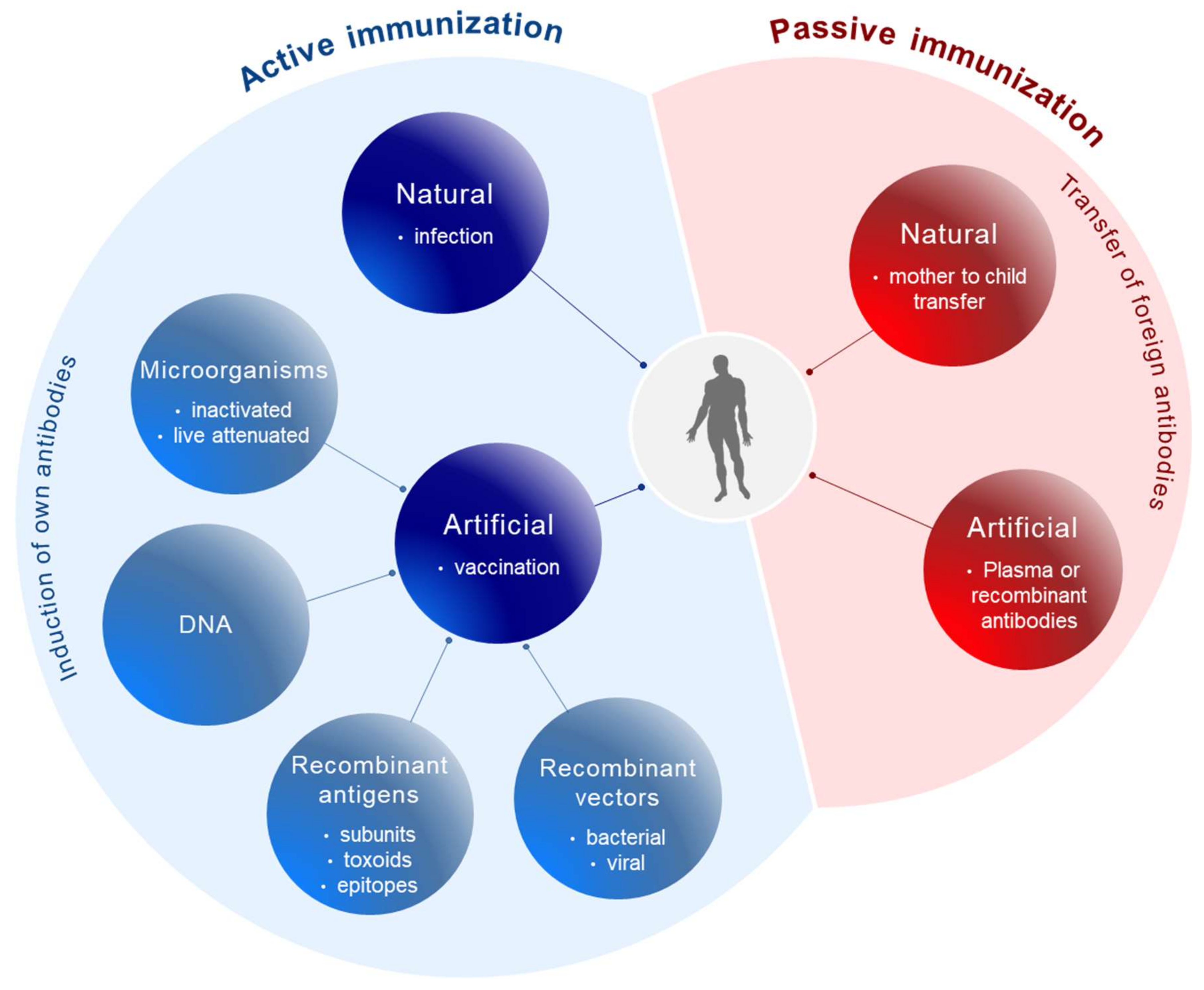 Viruses 10 00197 g001