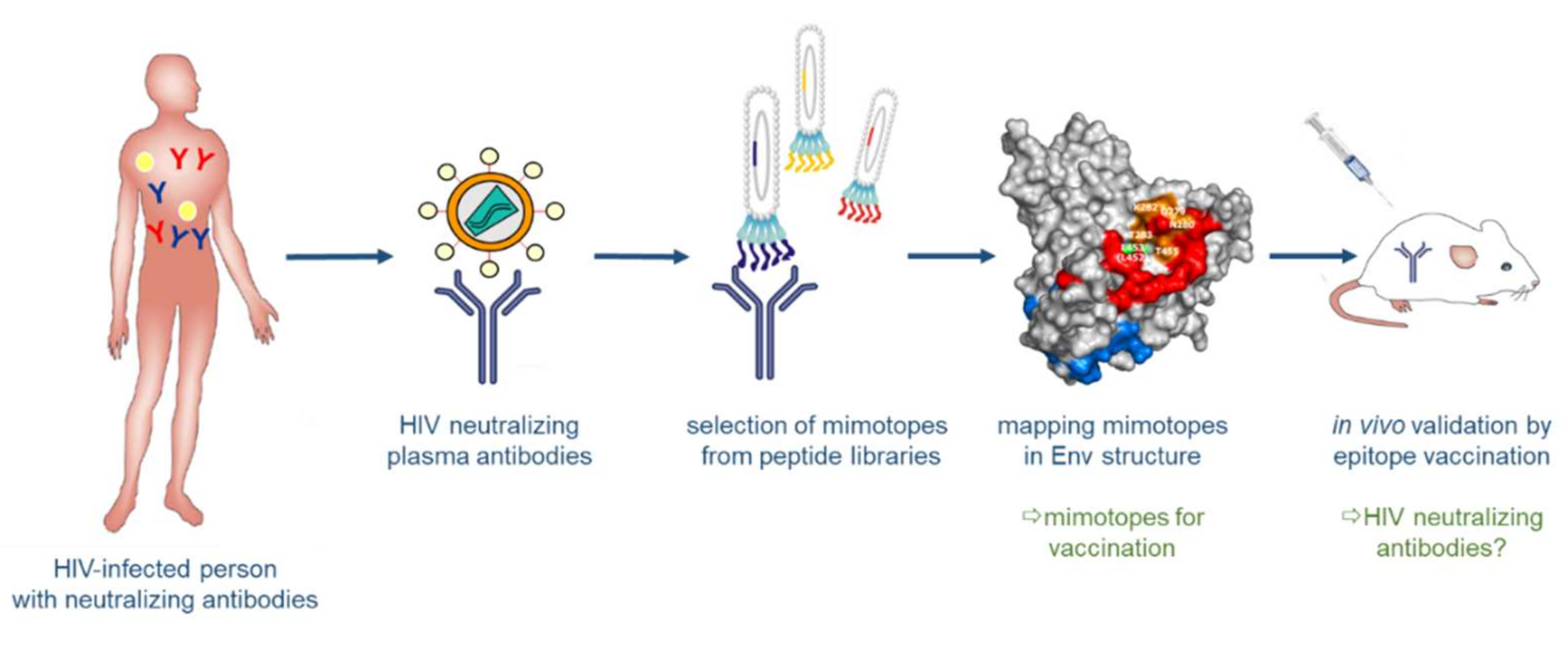 Viruses 10 00197 g005