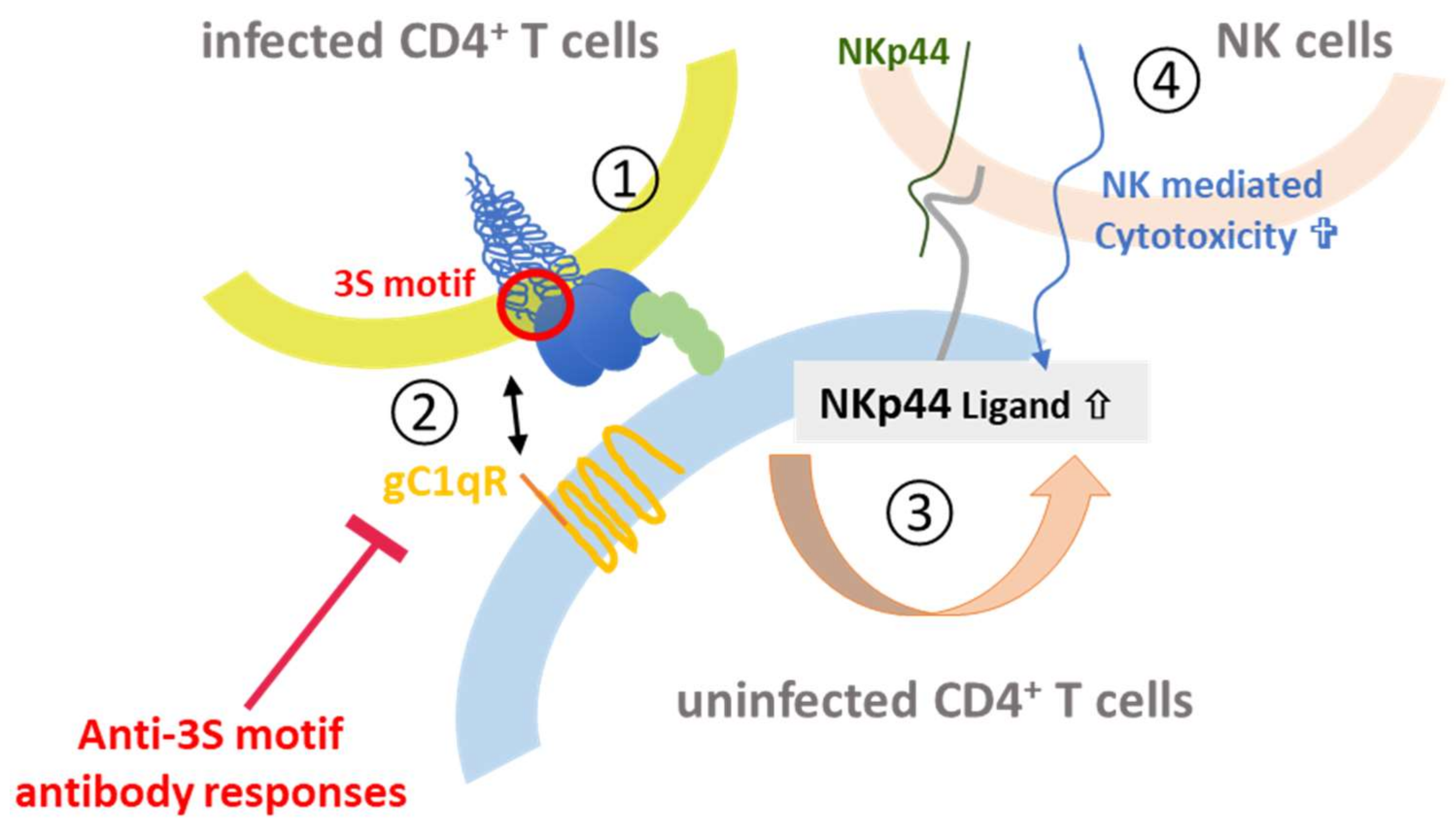 Viruses 10 00197 g008