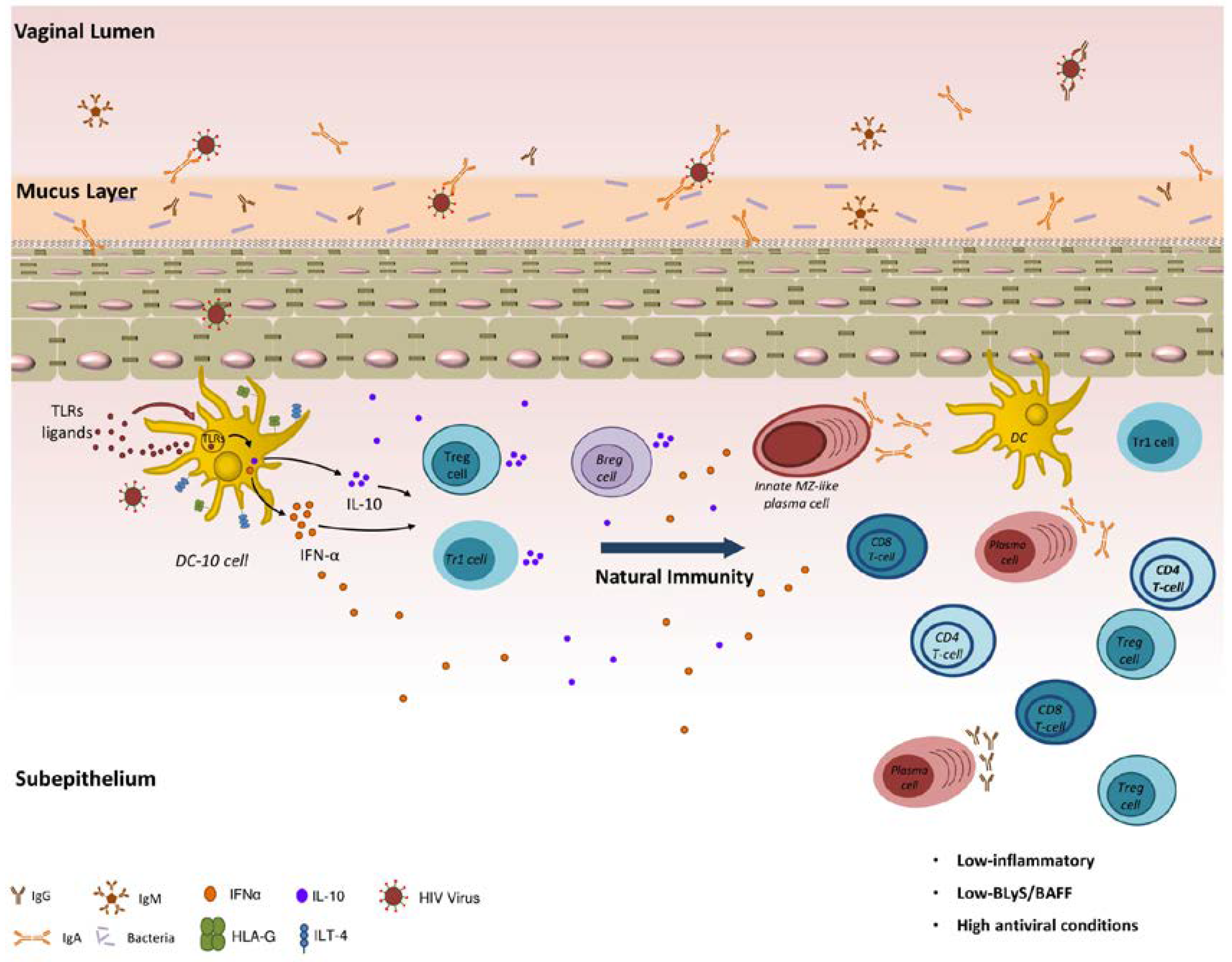 Viruses 10 00215 g001 Viruses 10 00215 g001