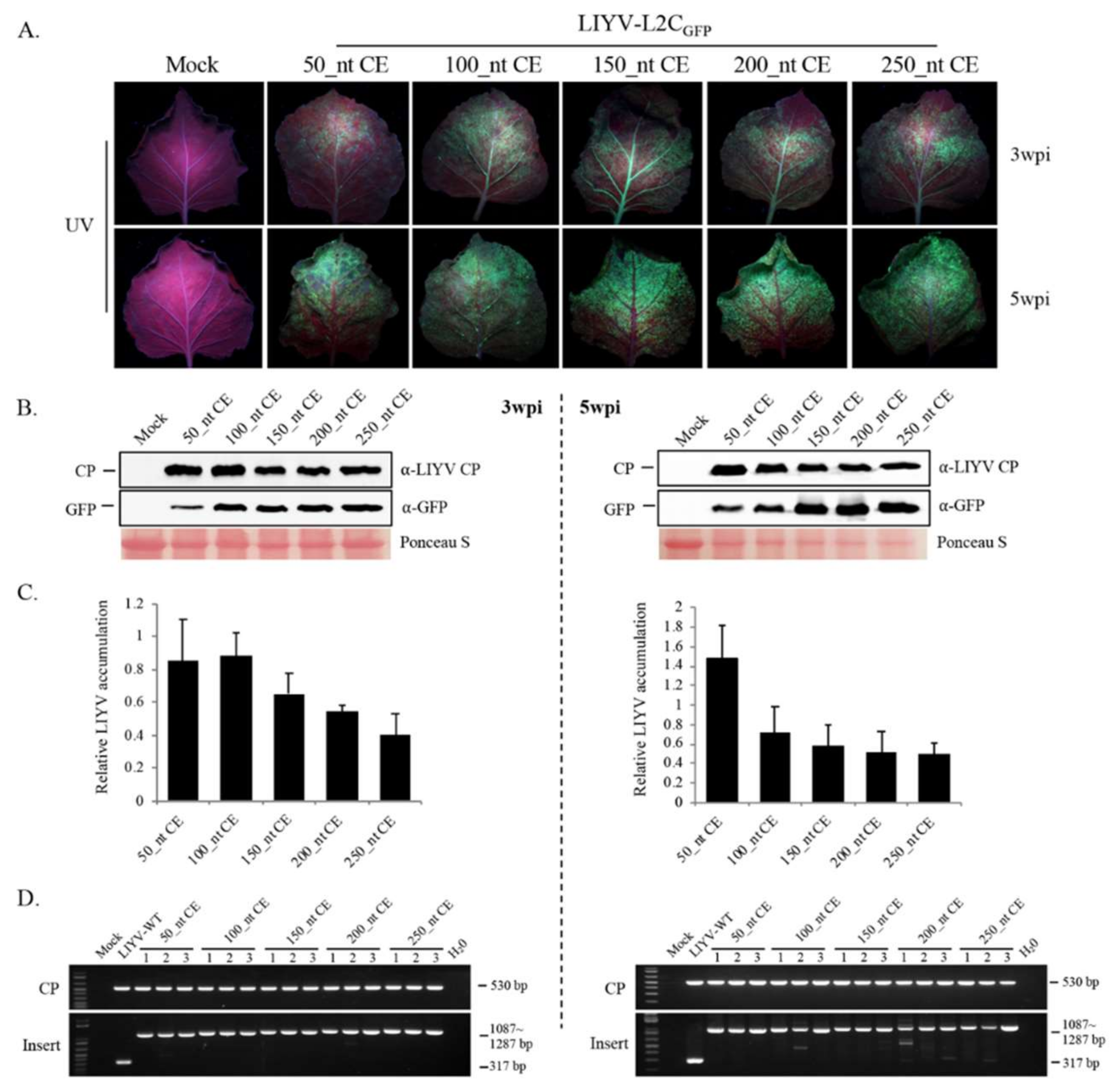 Viruses 10 00216 g005