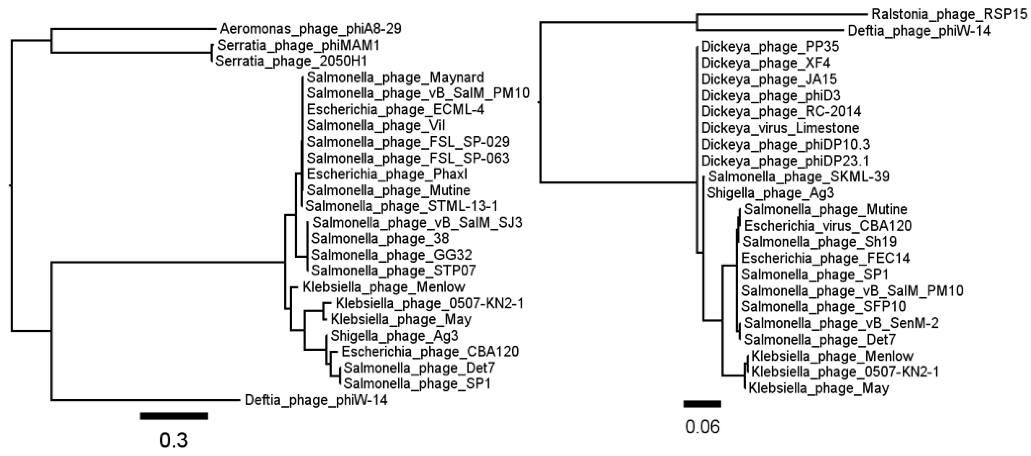 Viruses 10 00217 g003 Viruses 10 00217 g003