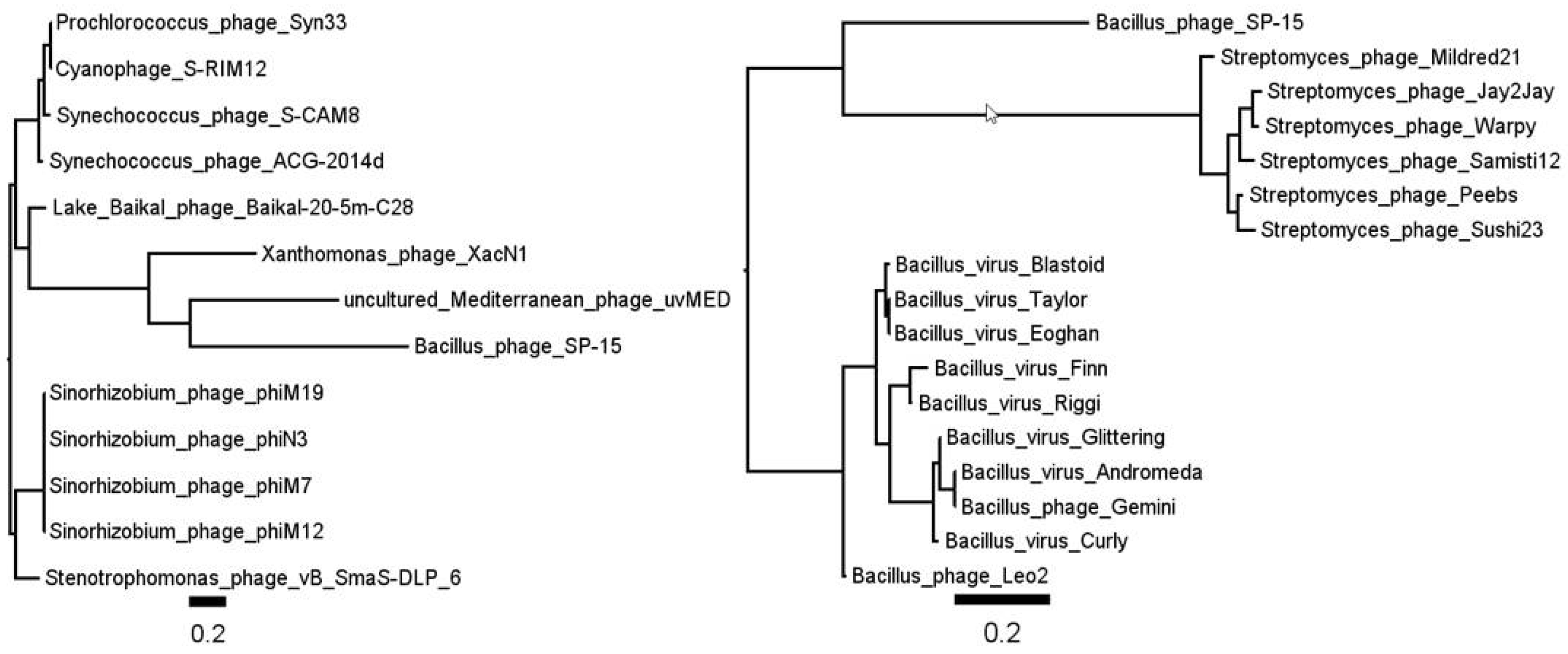 Viruses 10 00217 g004 Viruses 10 00217 g004