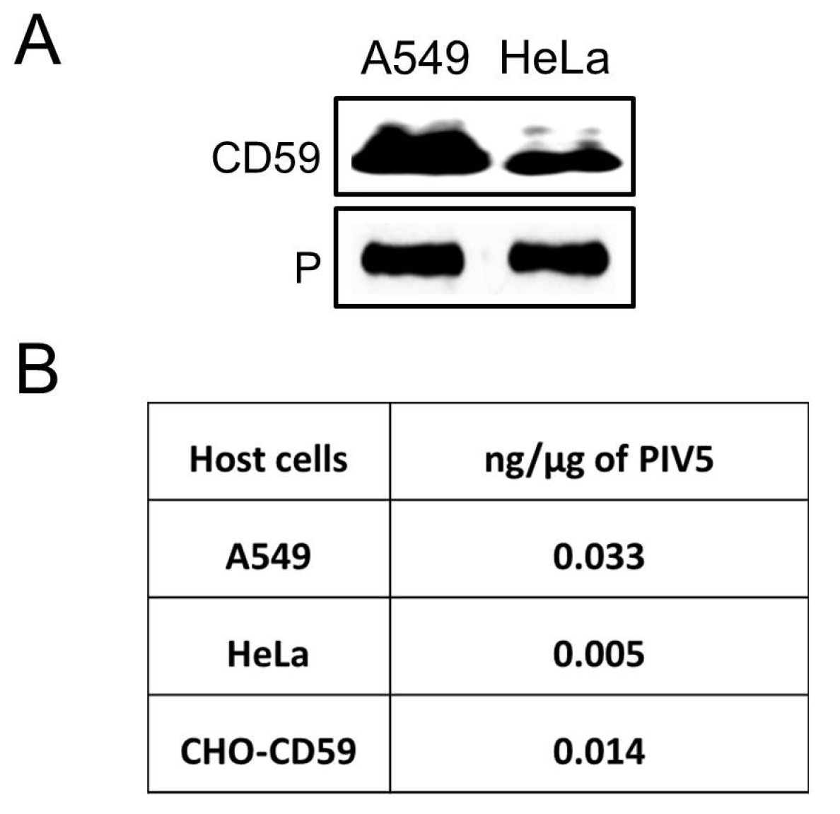 Viruses 10 00219 g001