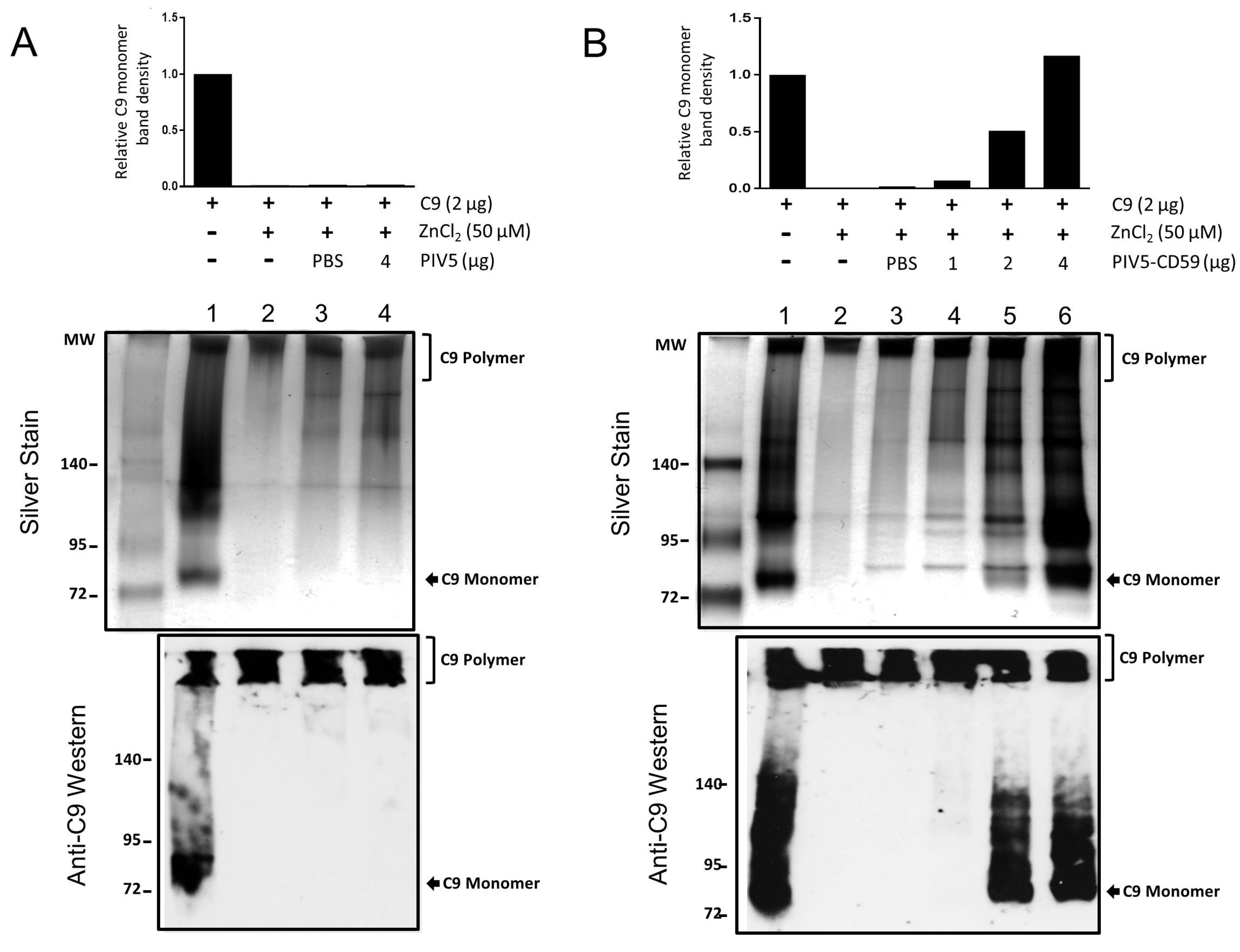 Viruses 10 00219 g003