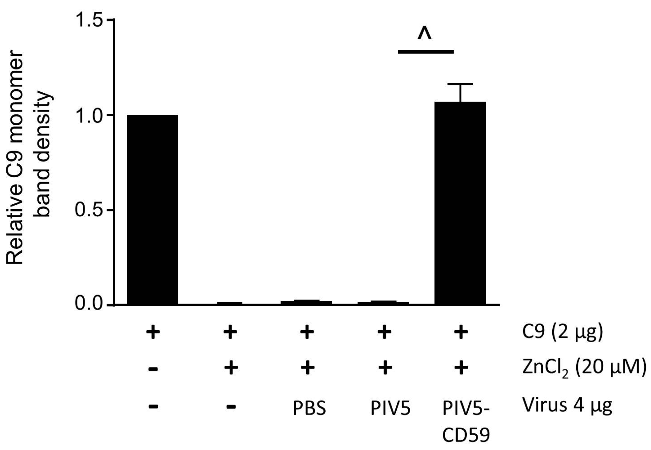 Viruses 10 00219 g004