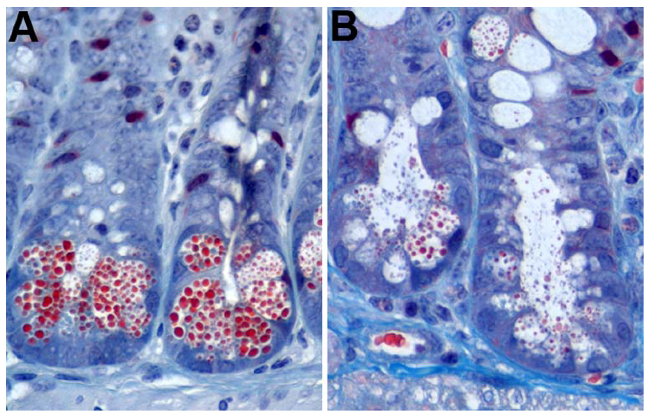 Viruses 10 00225 g001