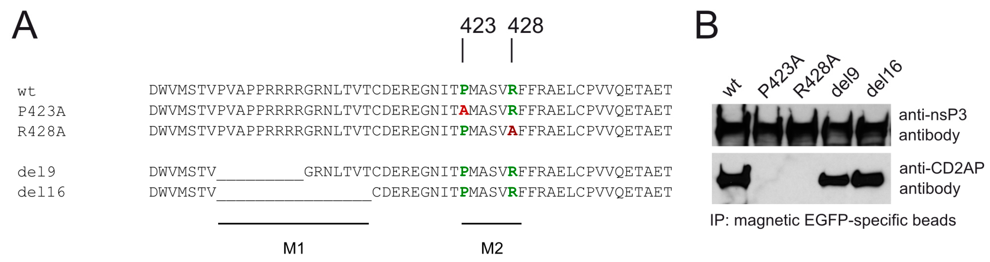 Viruses 10 00226 g002 Viruses 10 00226 g002