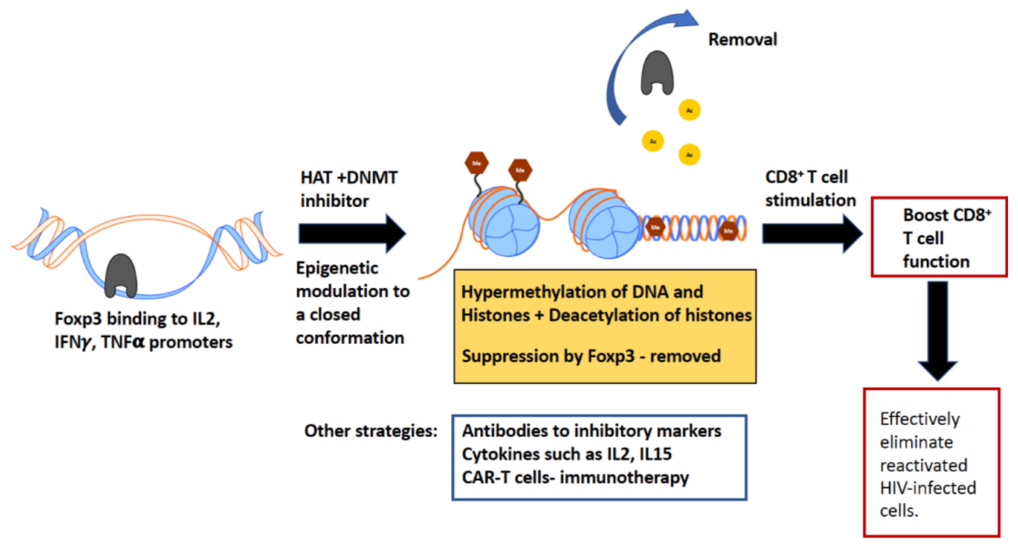 Viruses 10 00227 g003 Viruses 10 00227 g003