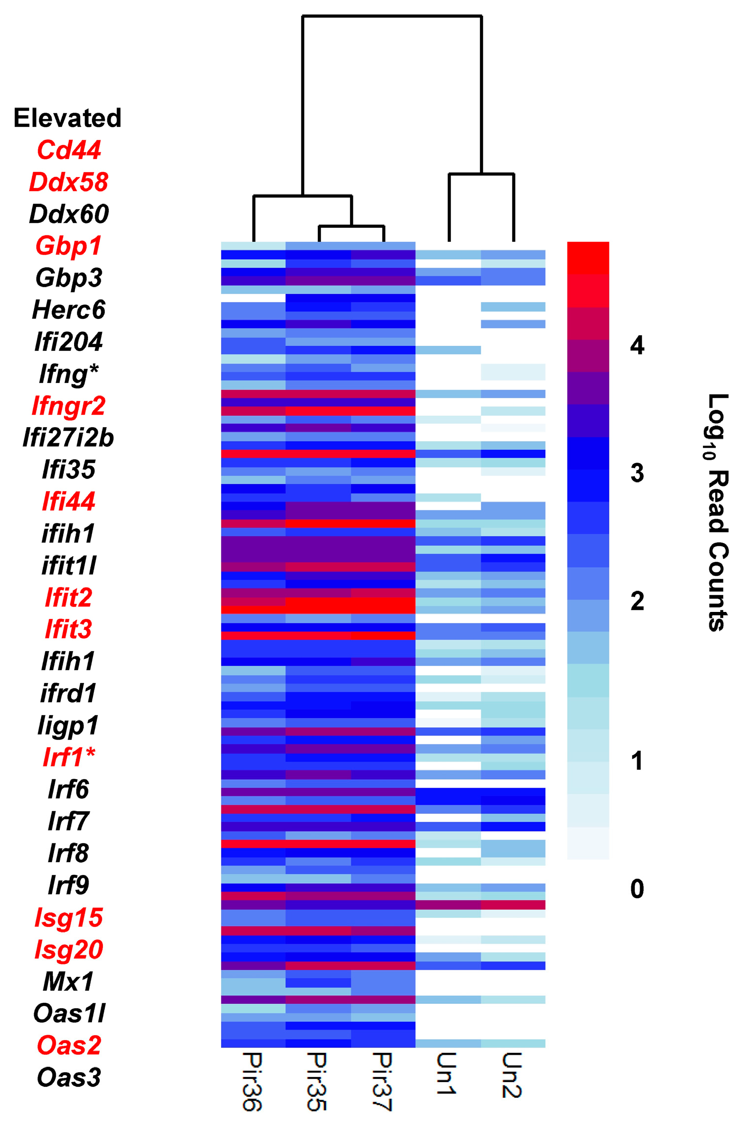 Viruses 10 00232 g006