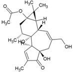 Viruses 10 00235 i037