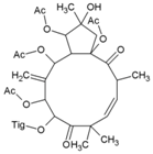 Viruses 10 00235 i058