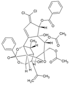Viruses 10 00235 i059