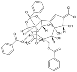 Viruses 10 00235 i060