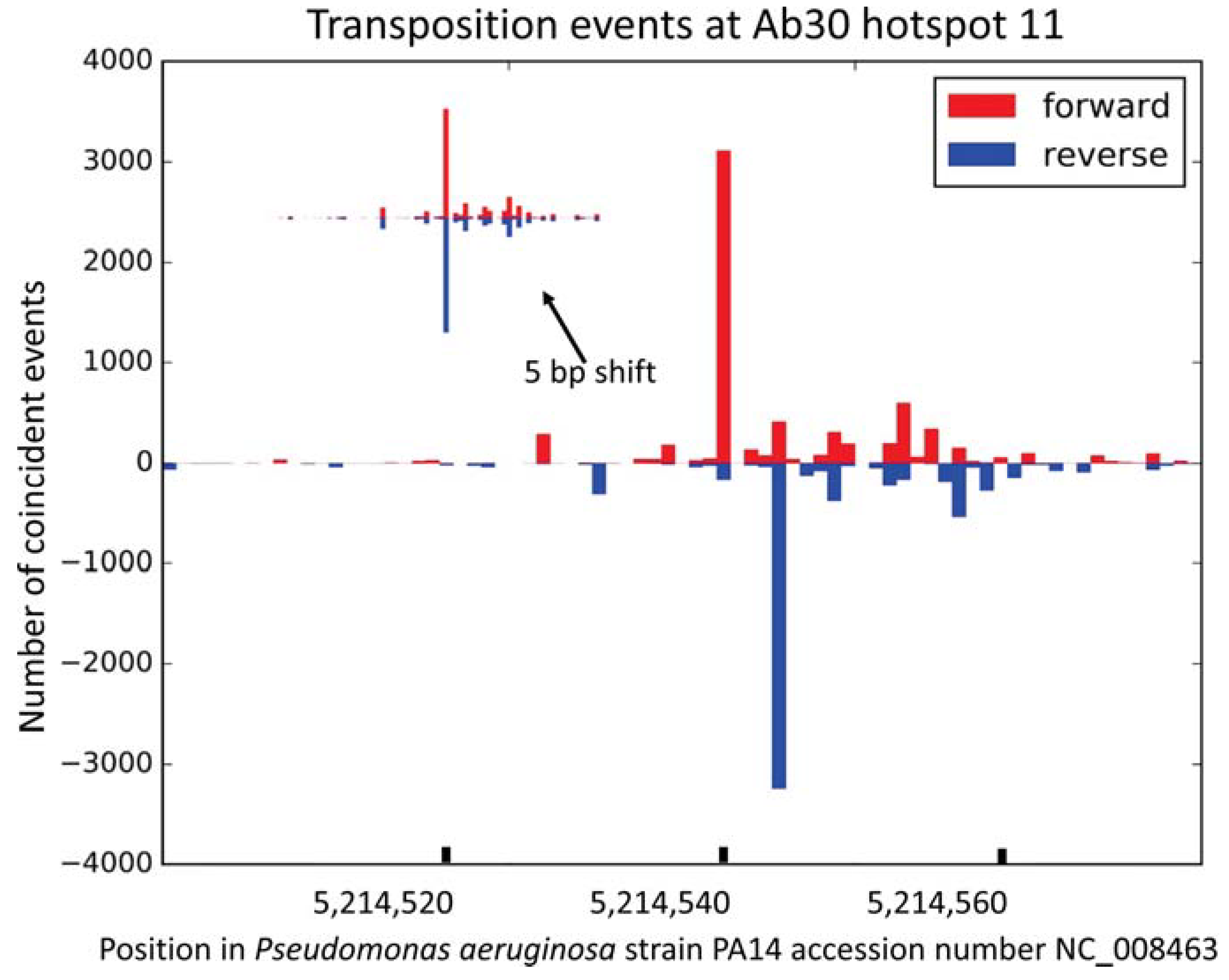 Viruses 10 00245 g003 Viruses 10 00245 g003