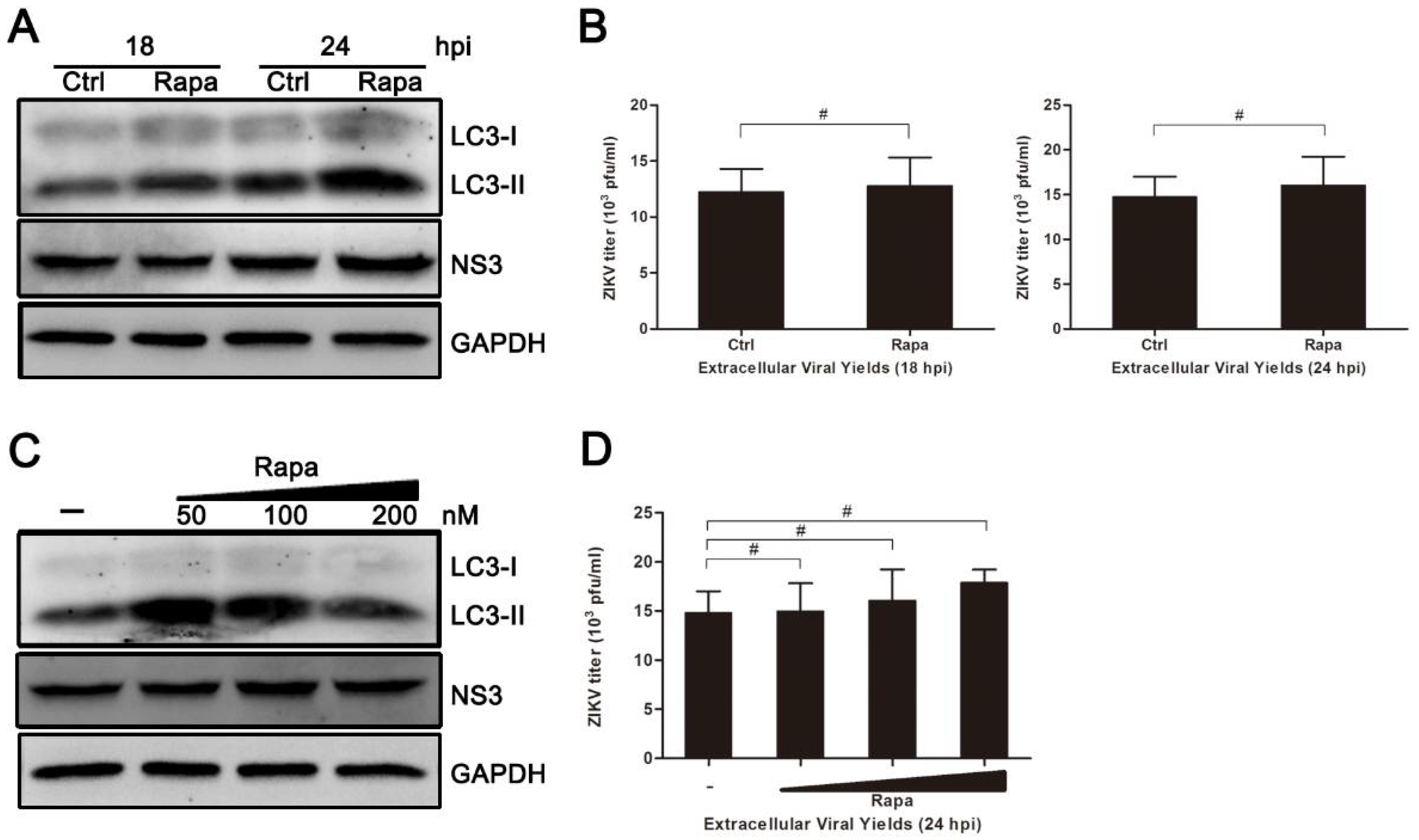 Viruses 10 00259 g005