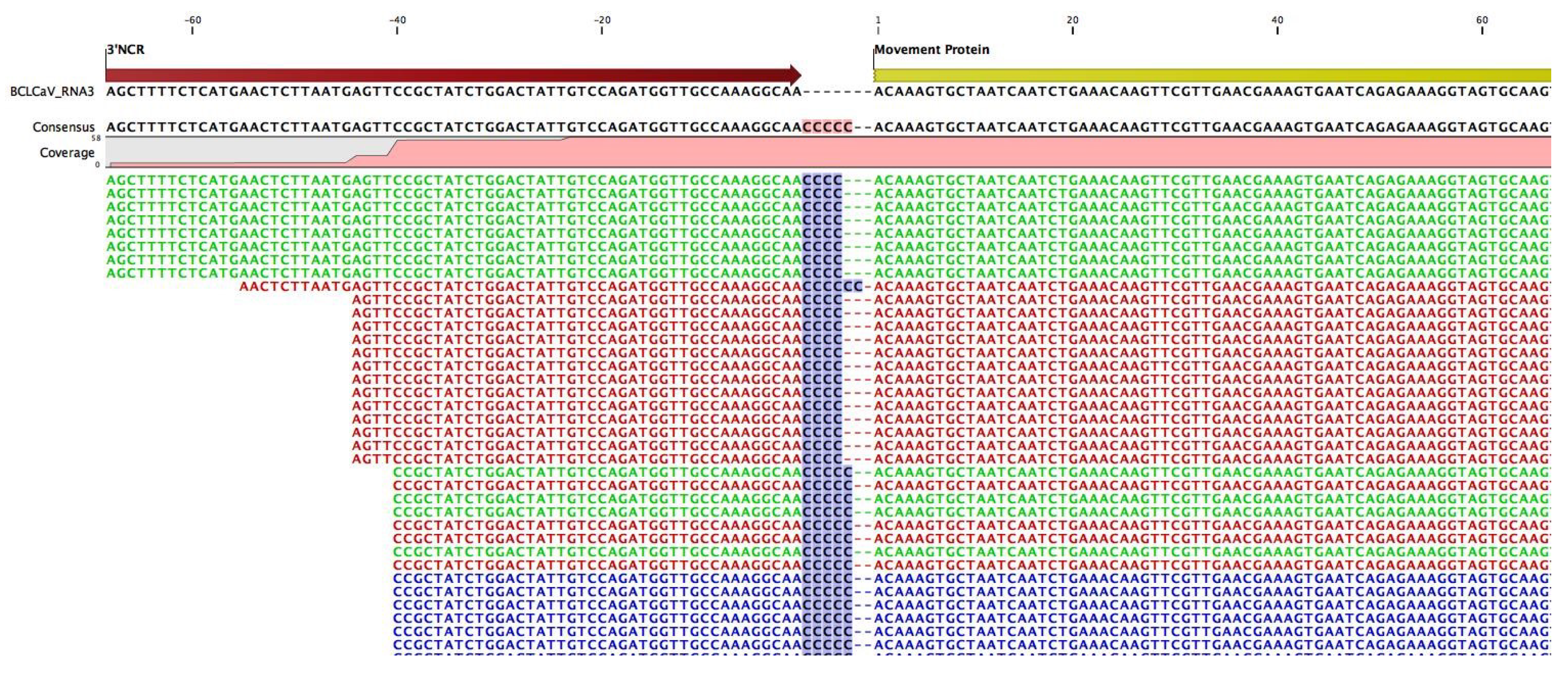 Viruses 10 00260 g004