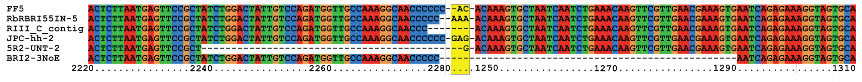 Viruses 10 00260 g005