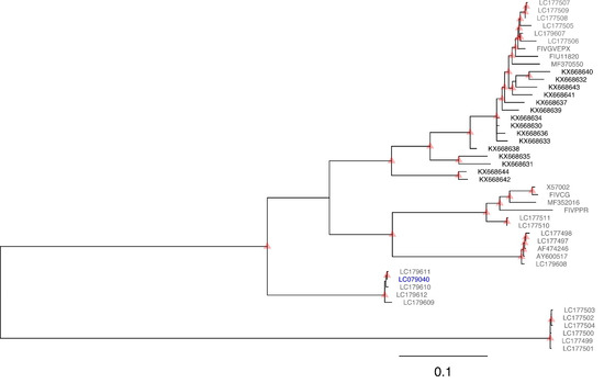 Viruses 10 00296 g0a1