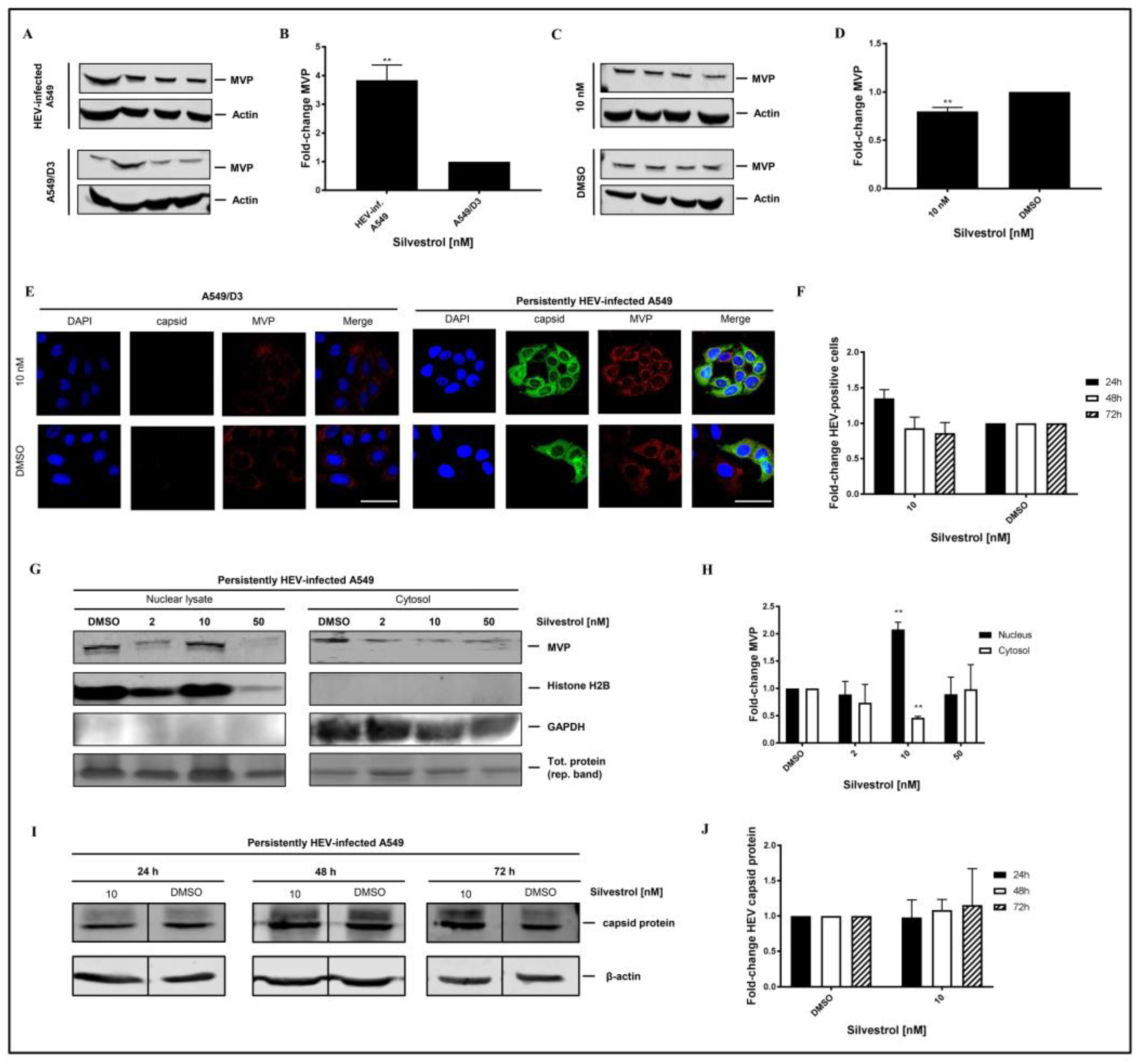 Viruses 10 00301 g008