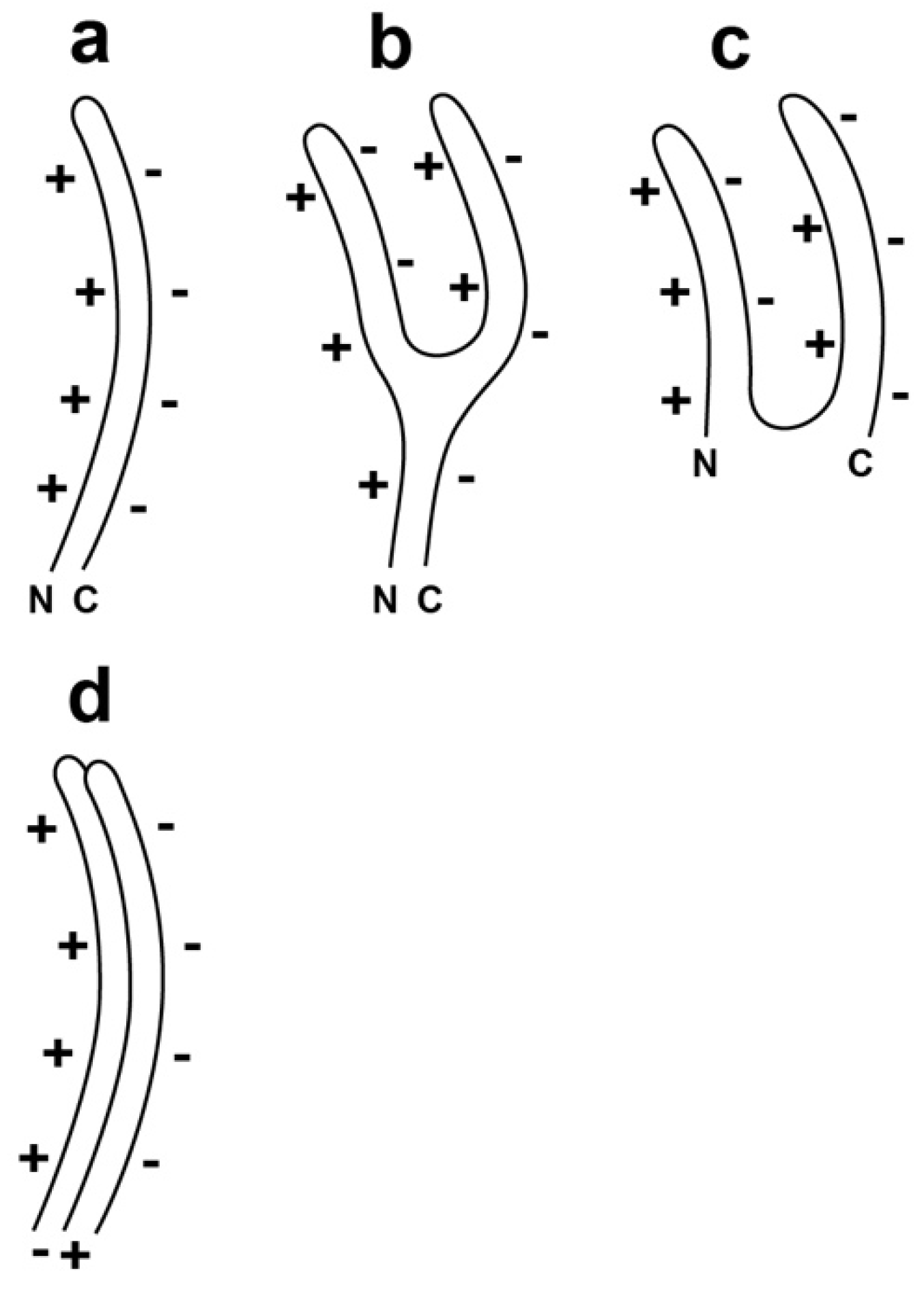 Viruses 10 00307 g002