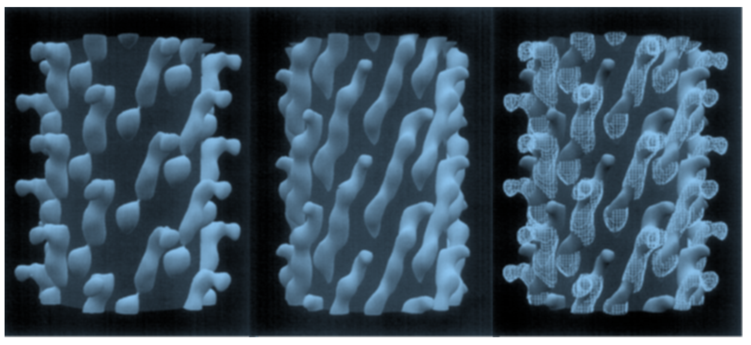 Viruses 10 00311 g005