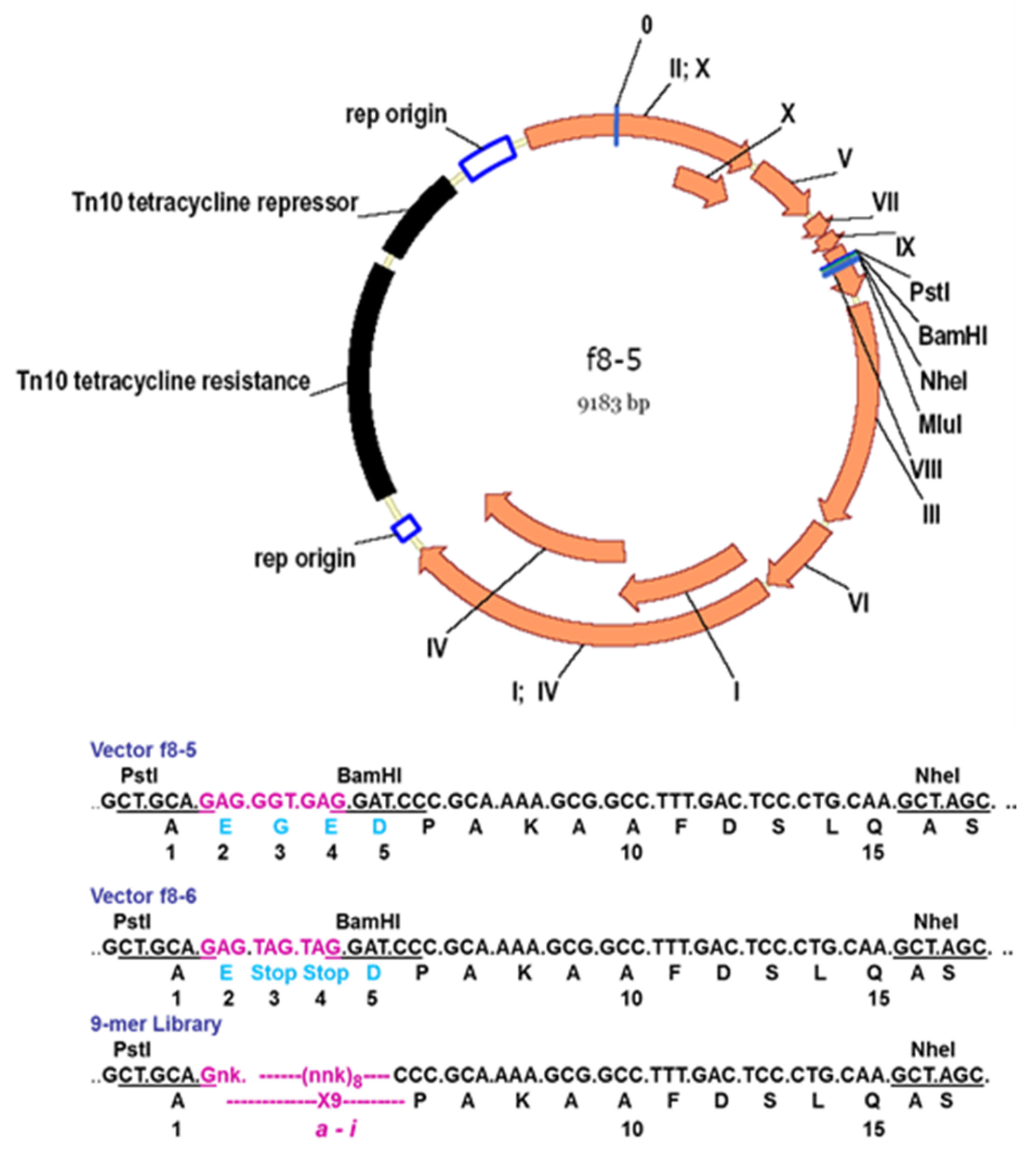 Viruses 10 00311 g006