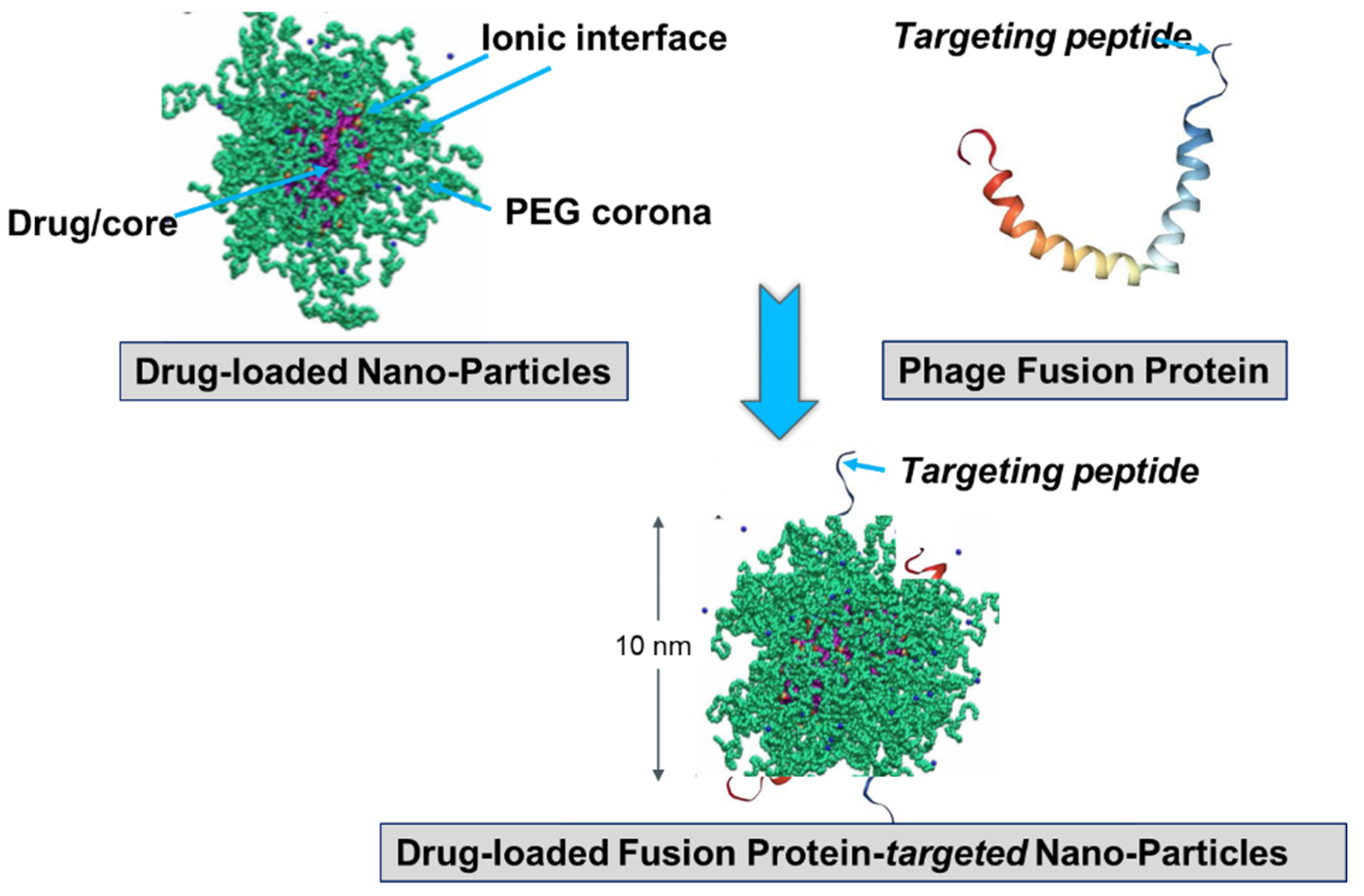 Viruses 10 00311 g008