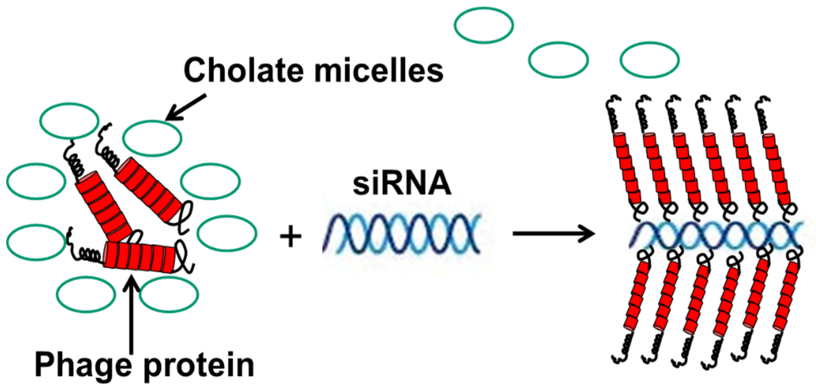 Viruses 10 00311 g009