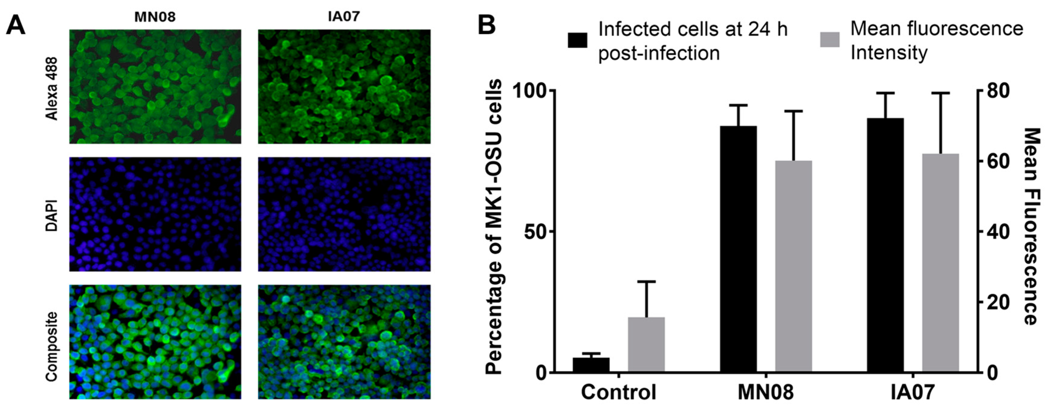 Viruses 10 00312 g003