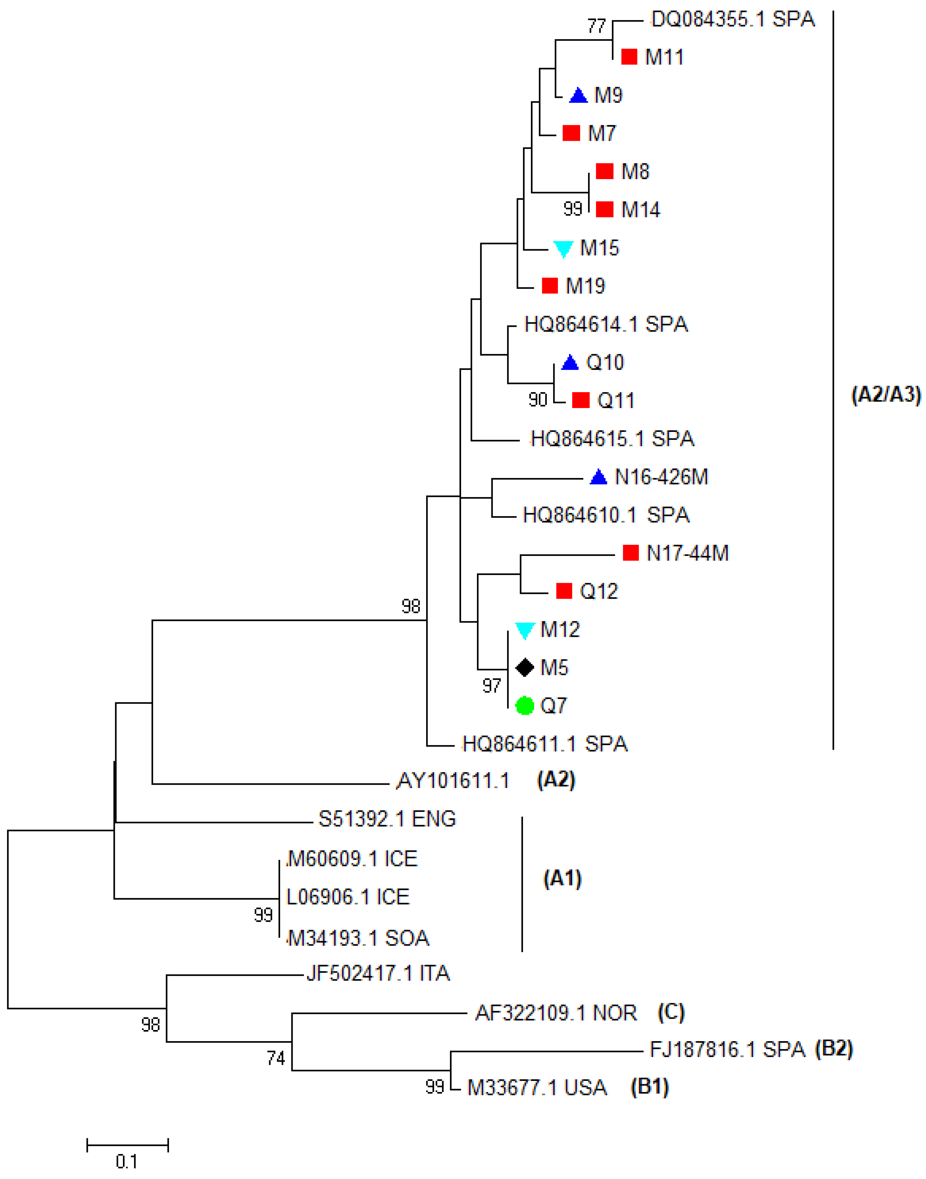 Viruses 10 00315 g005