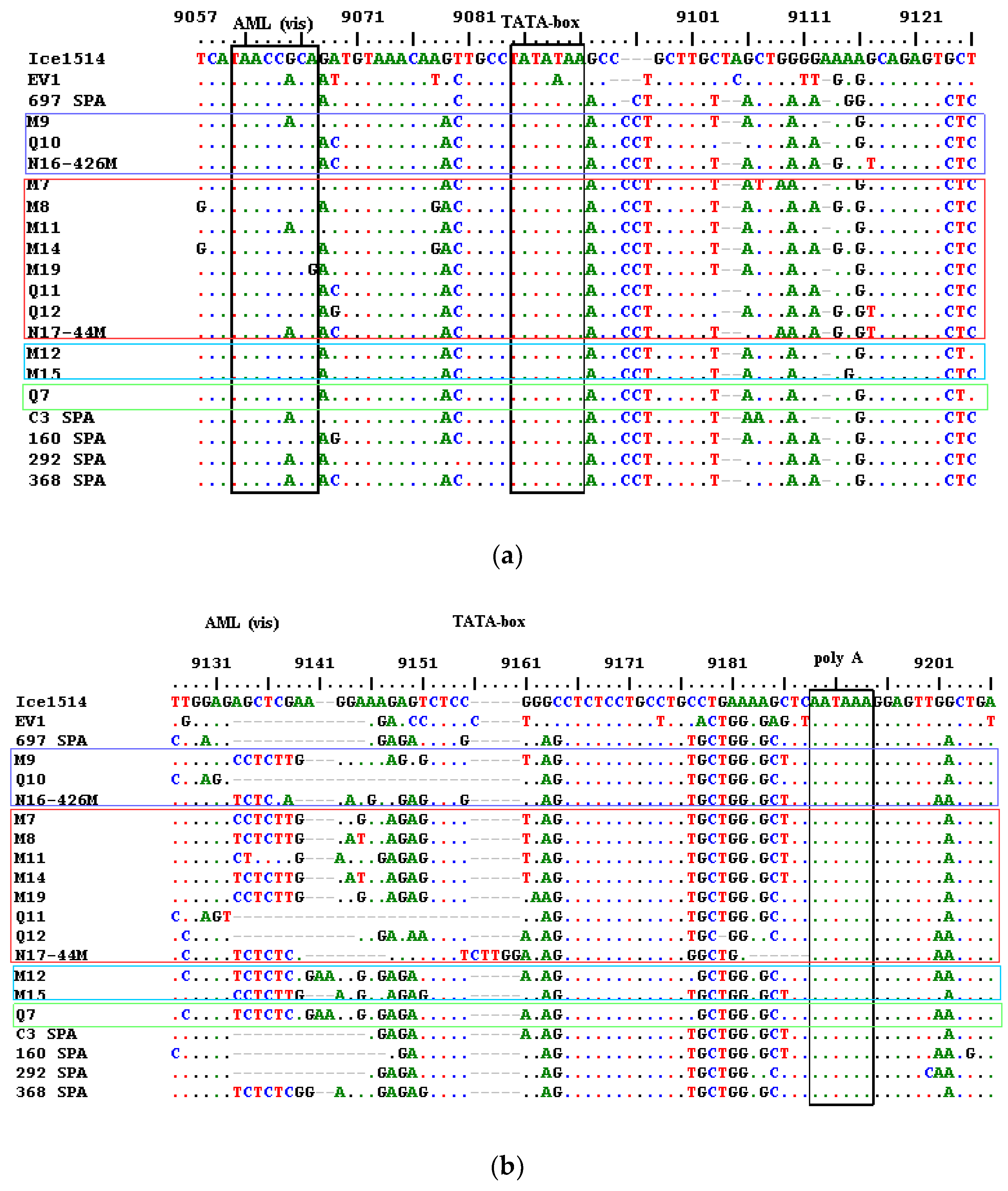 Viruses 10 00315 g006