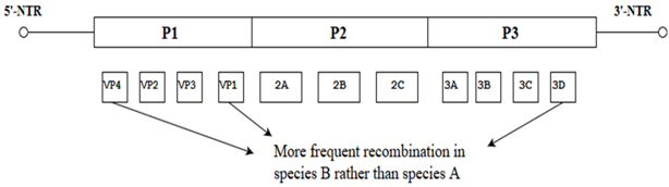Viruses 10 00320 i002