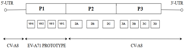 Viruses 10 00320 i005