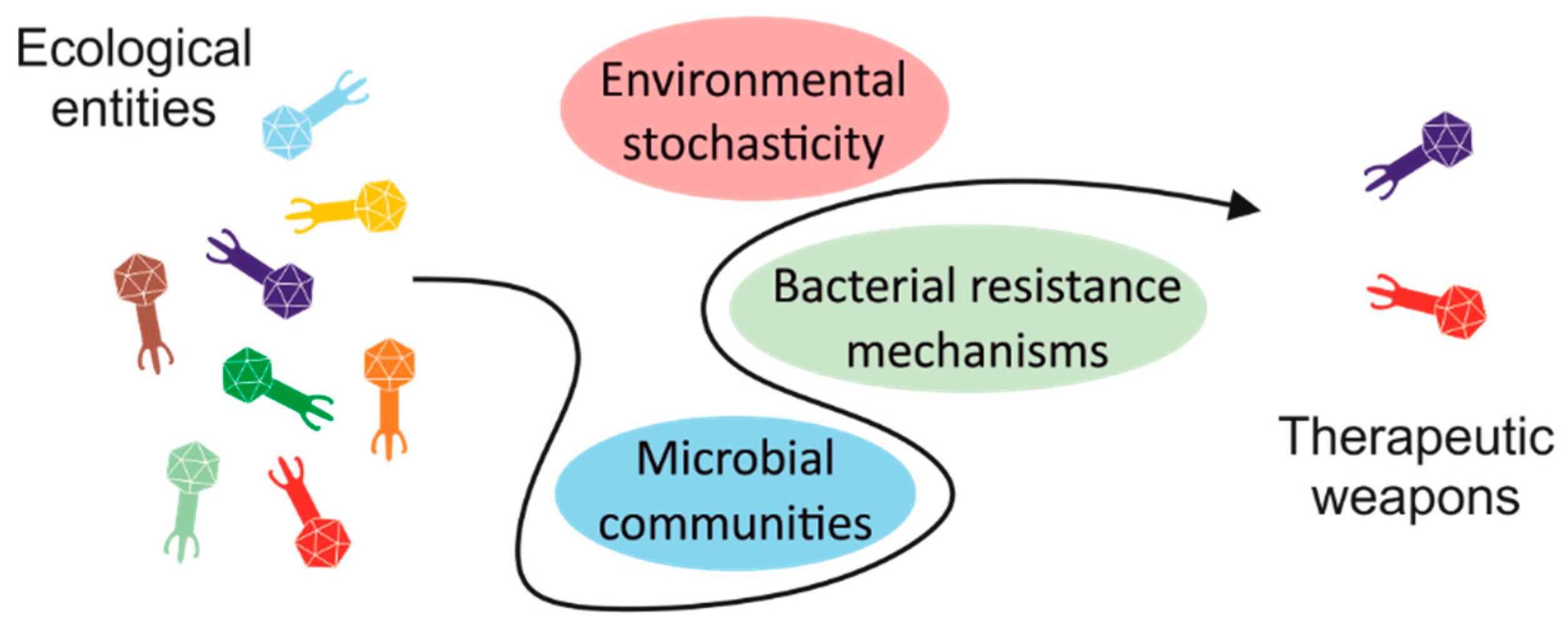 Viruses 10 00327 g001