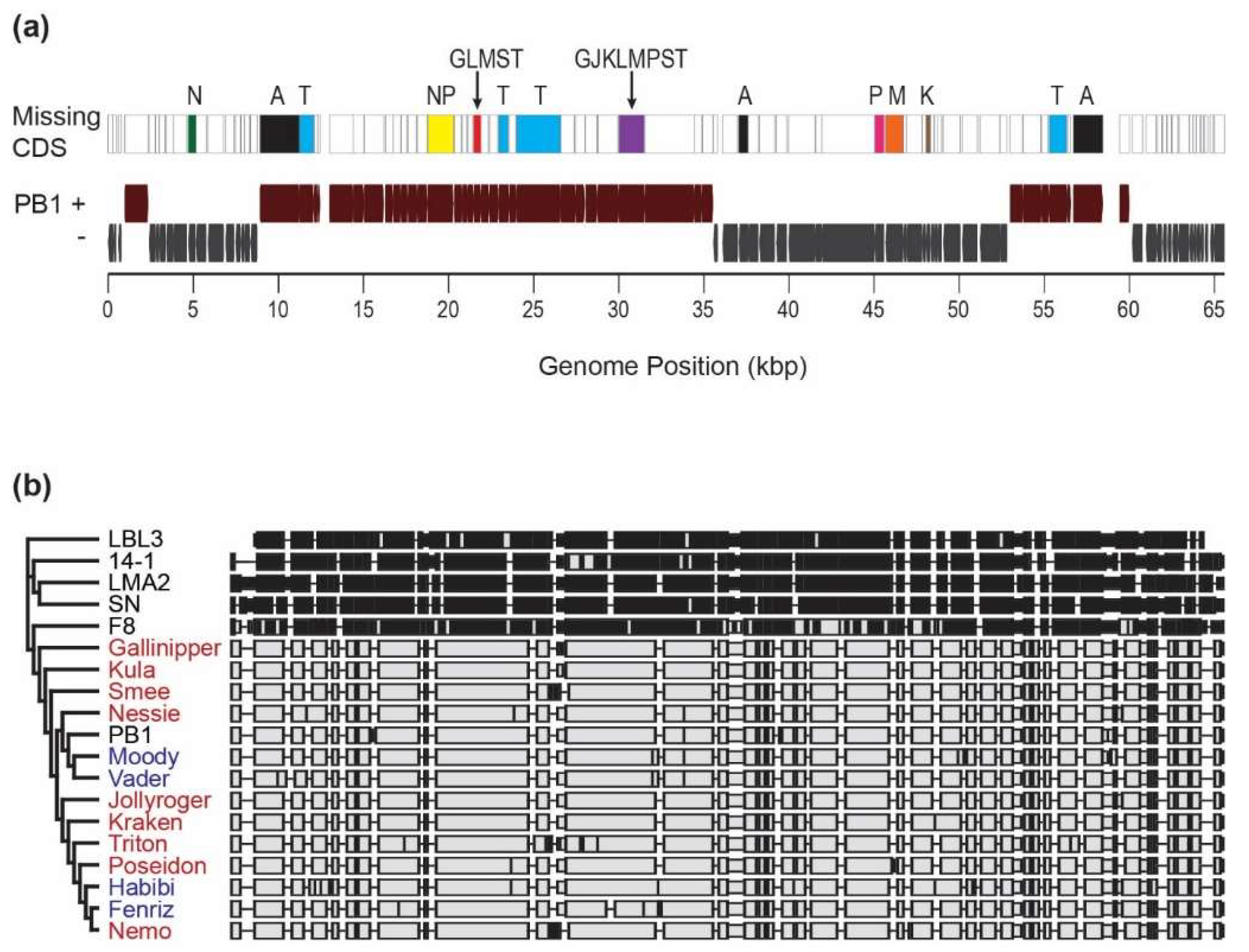 Viruses 10 00331 g003