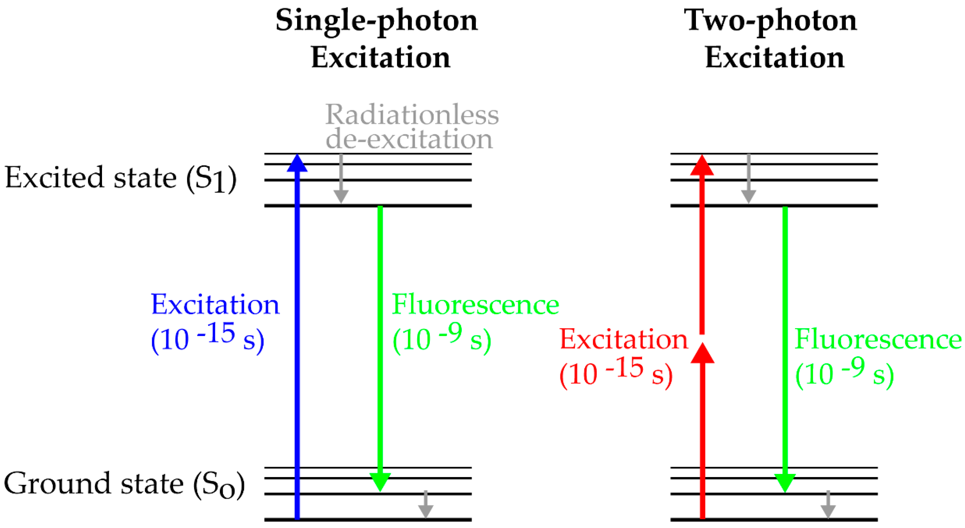 Viruses 10 00337 g001