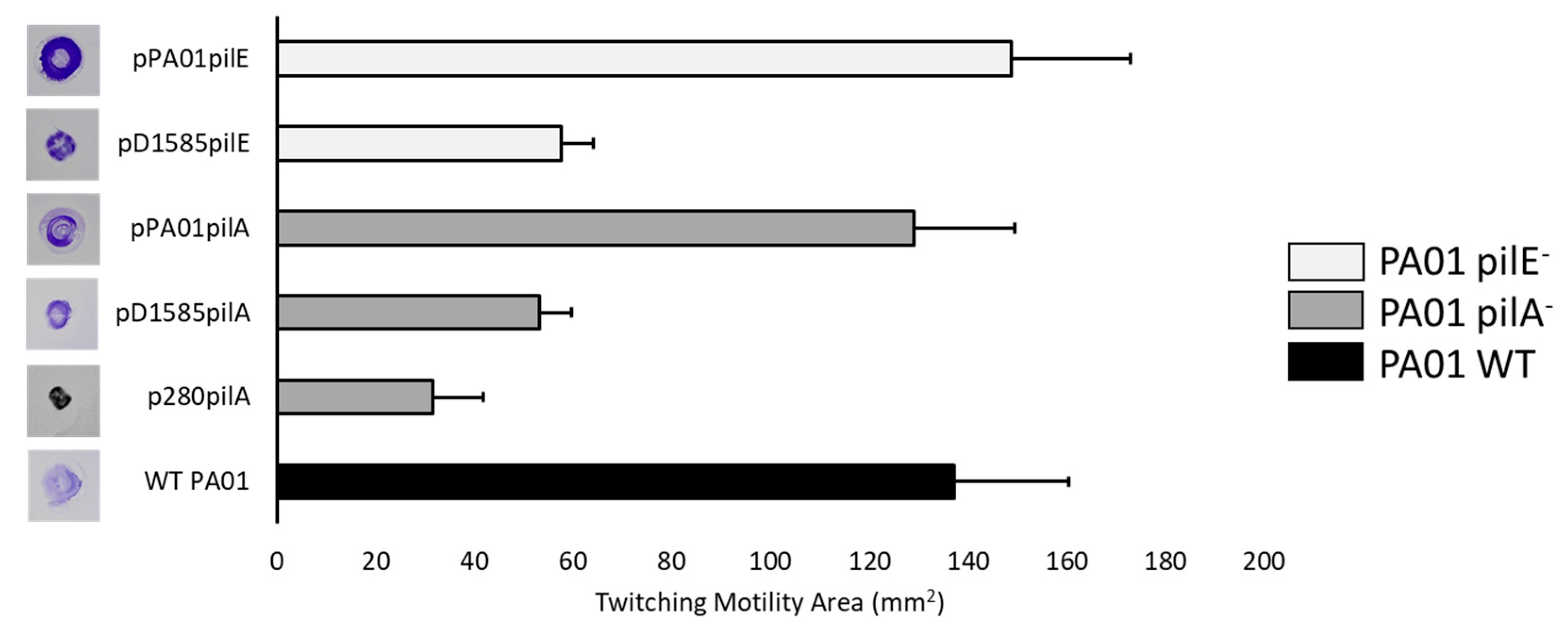 Viruses 10 00338 g003