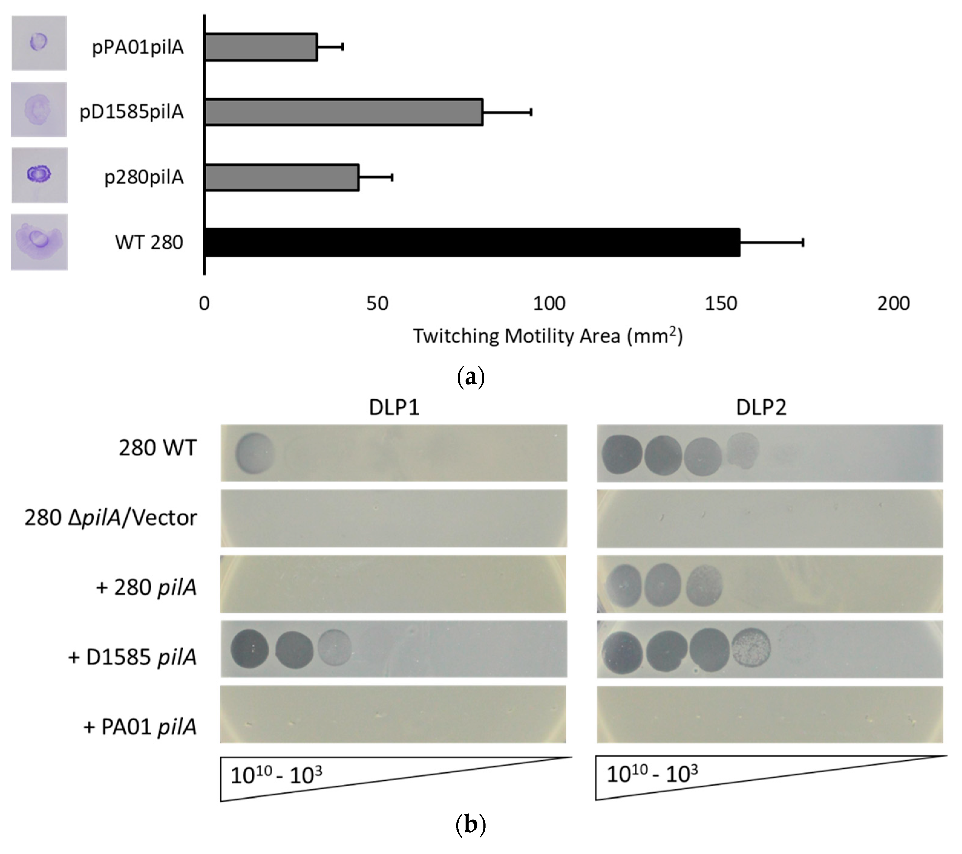 Viruses 10 00338 g005