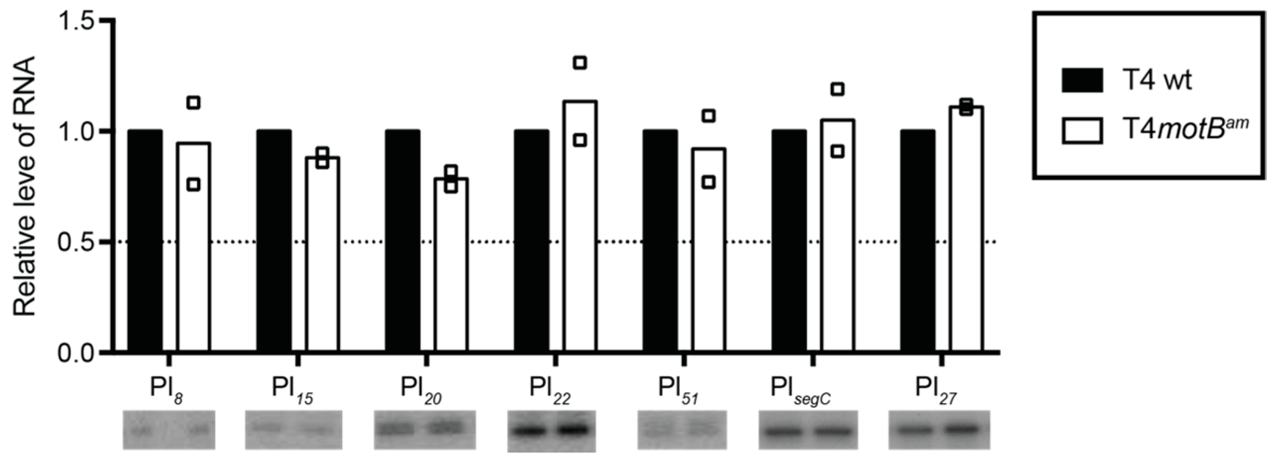 Viruses 10 00343 g008
