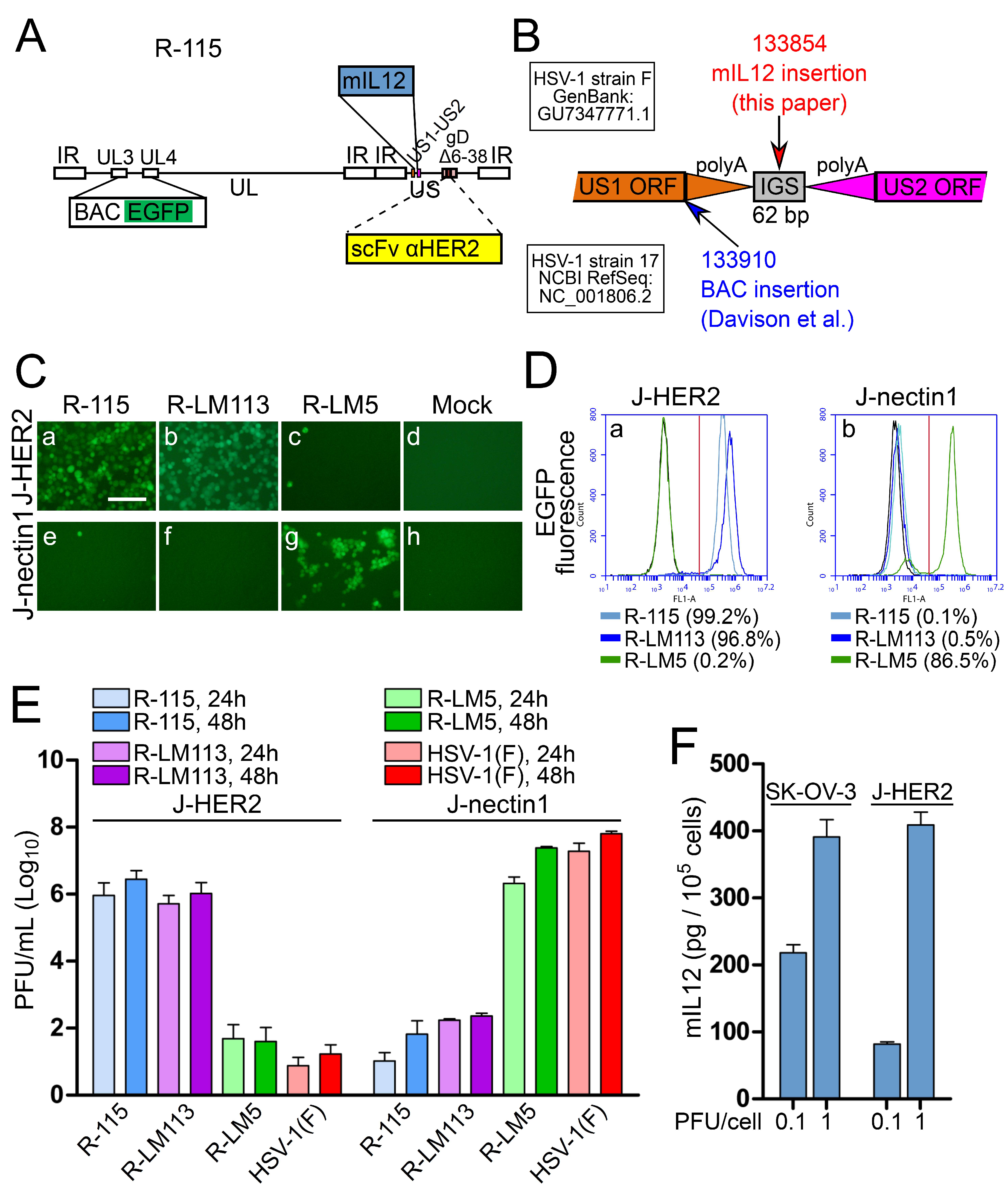 Viruses 10 00352 g007 Viruses 10 00352 g007