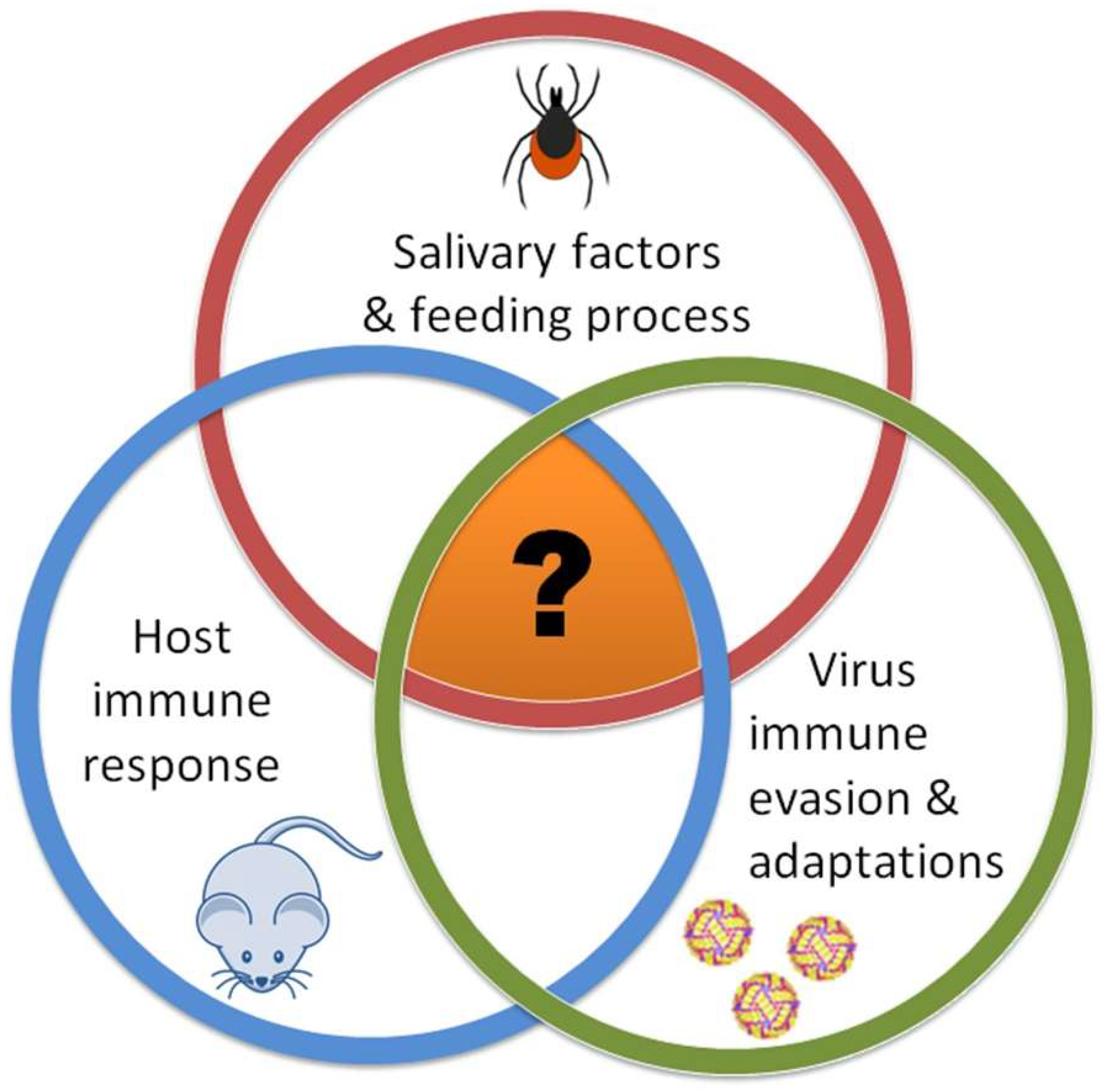 Viruses 10 00362 g001
