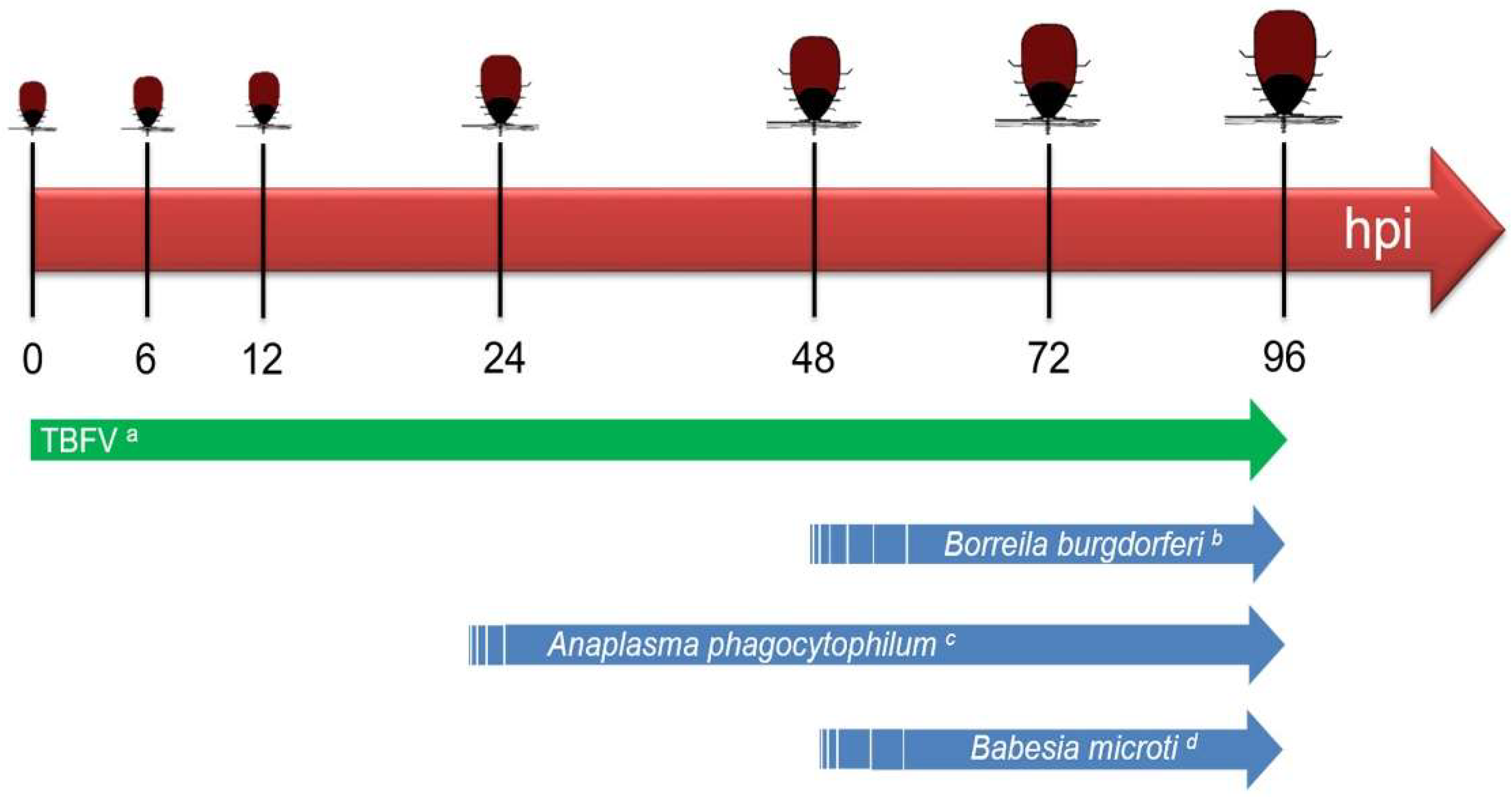 Viruses 10 00362 g002