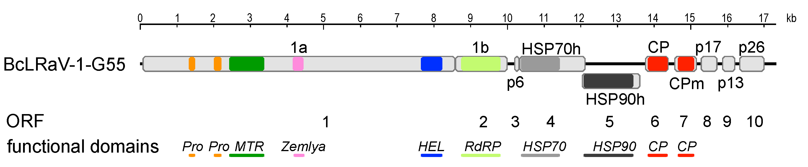 Viruses 10 00369 g001
