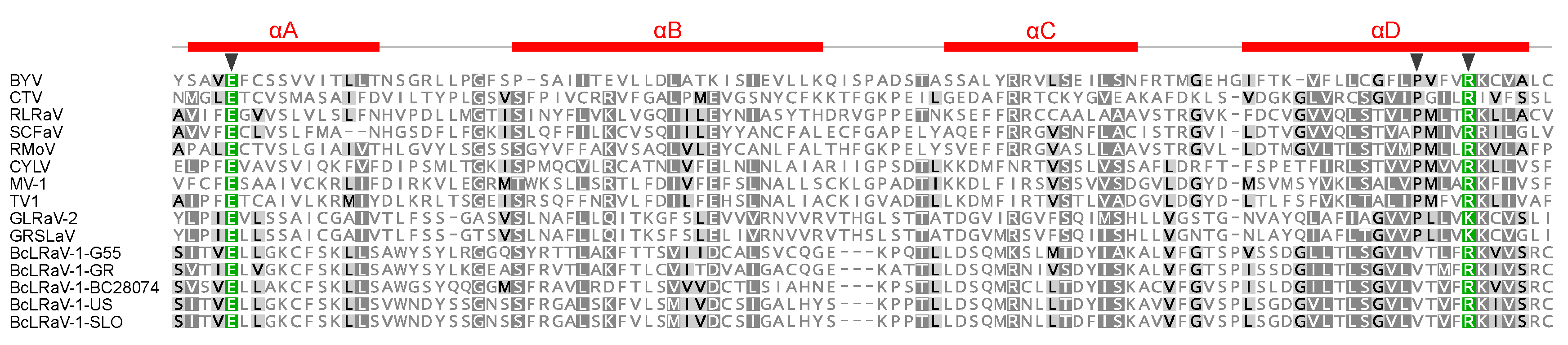 Viruses 10 00369 g002