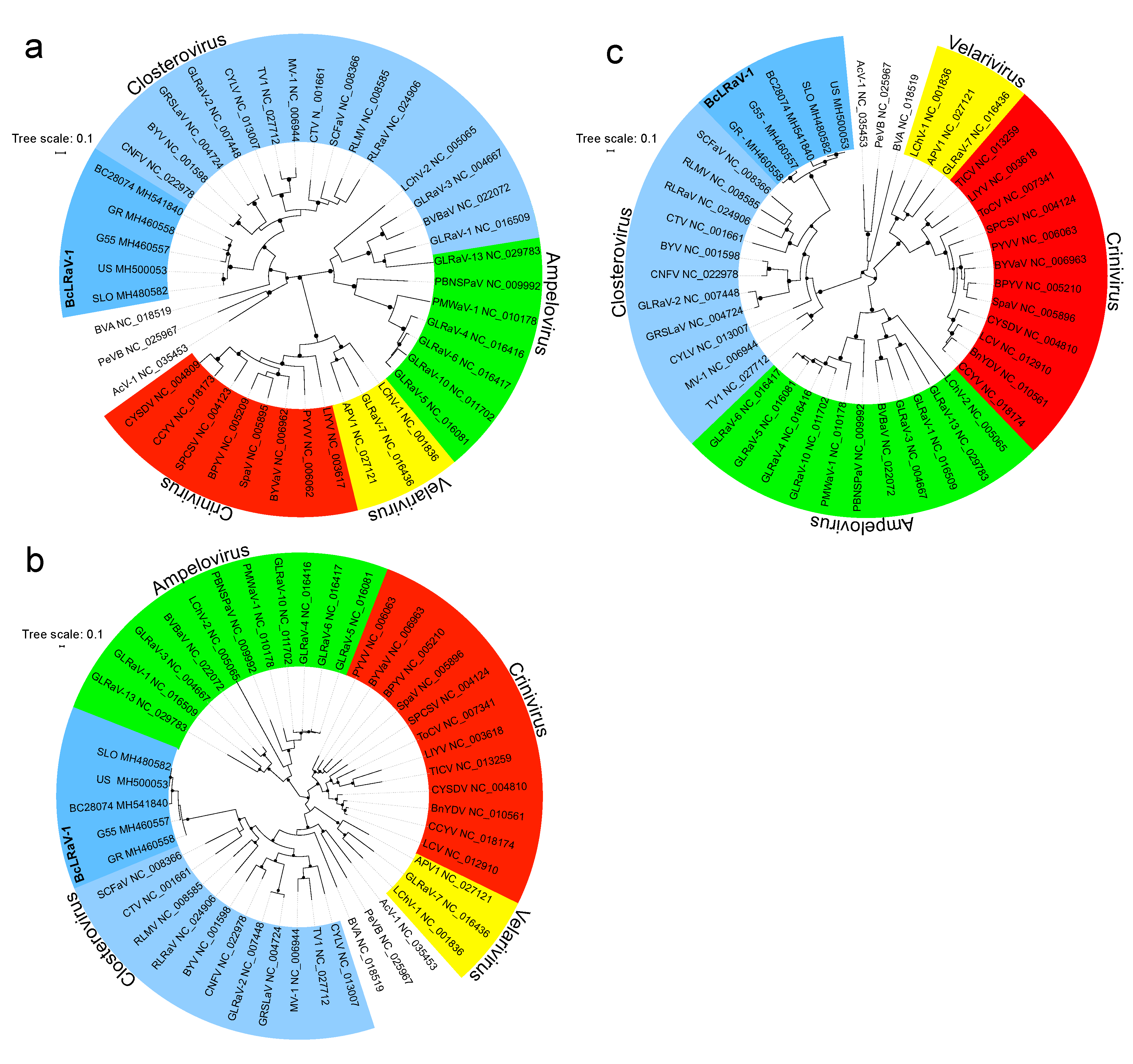 Viruses 10 00369 g005