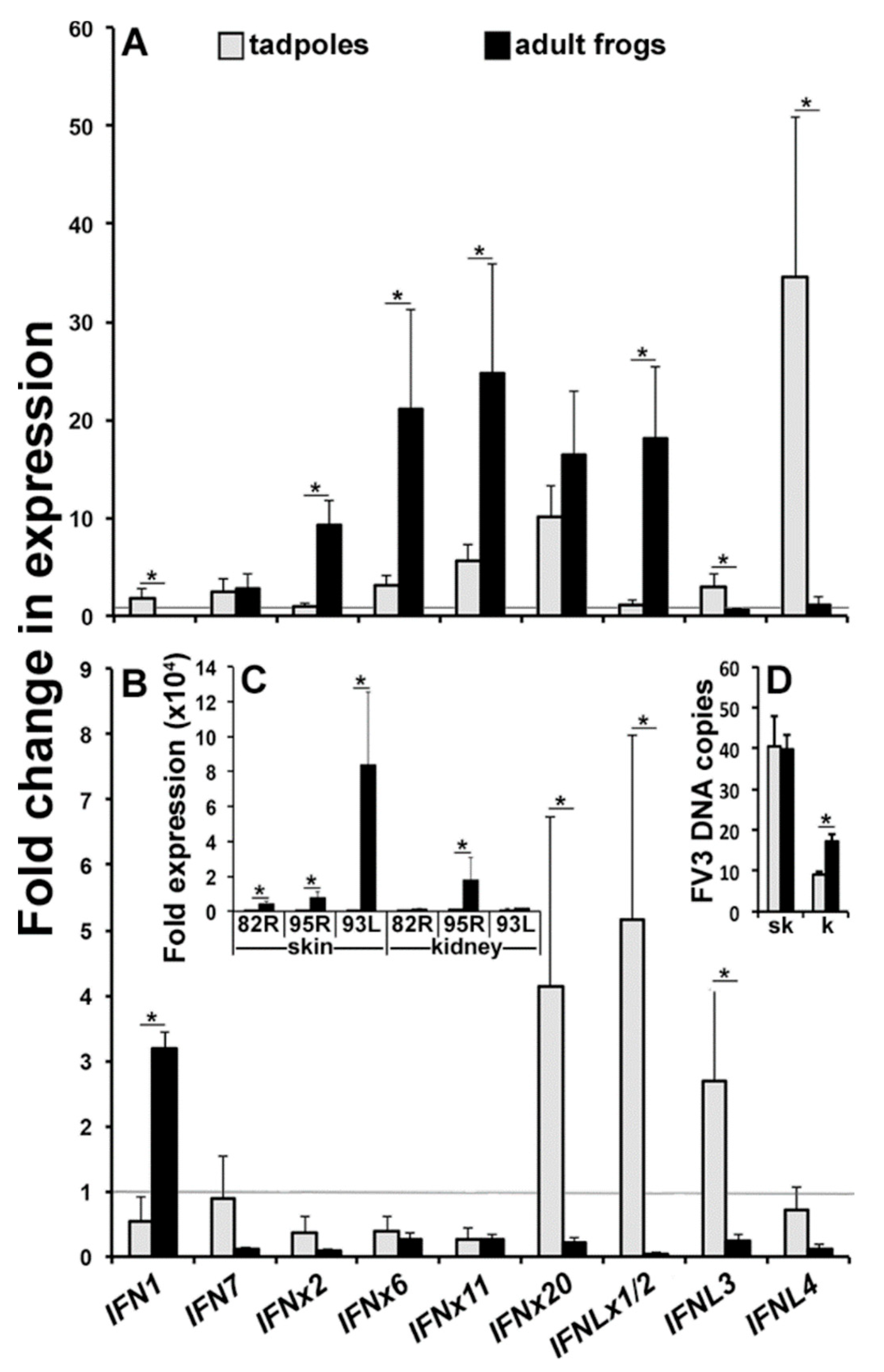 Viruses 10 00372 g005 Viruses 10 00372 g005